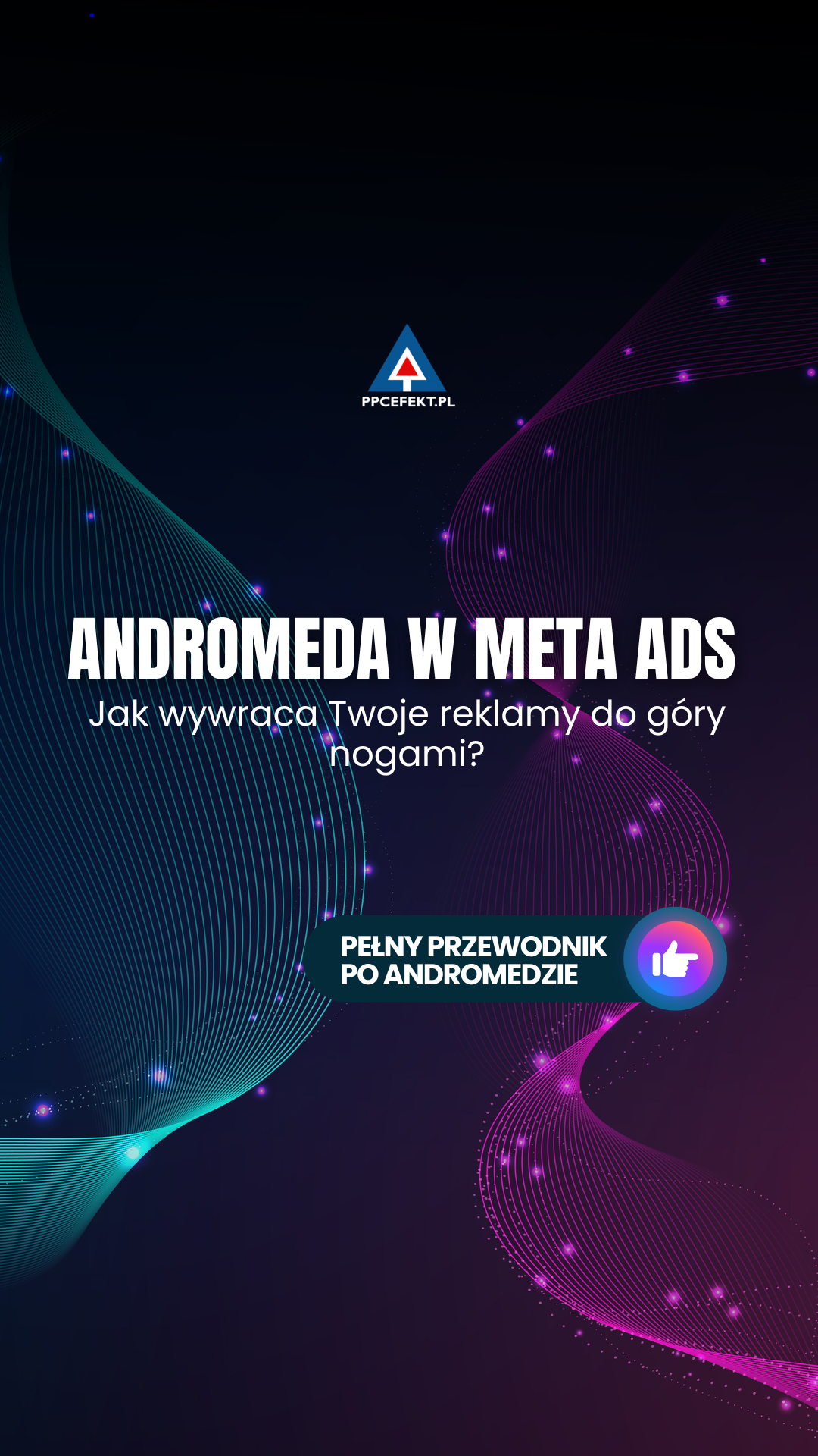 ppcefekt.pl Facebook ad from Jan 5, 2026