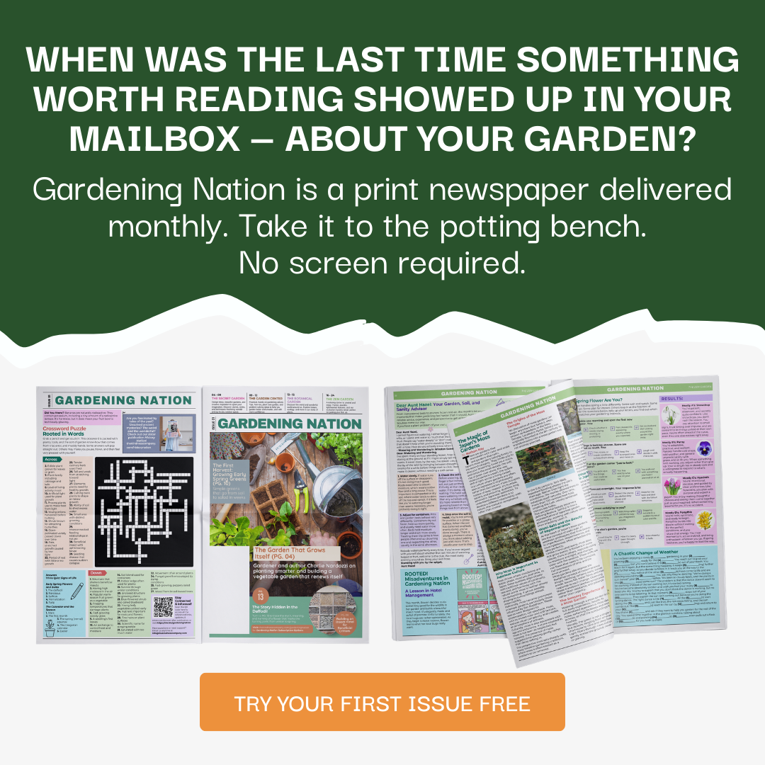 The Kindness Company Facebook ad