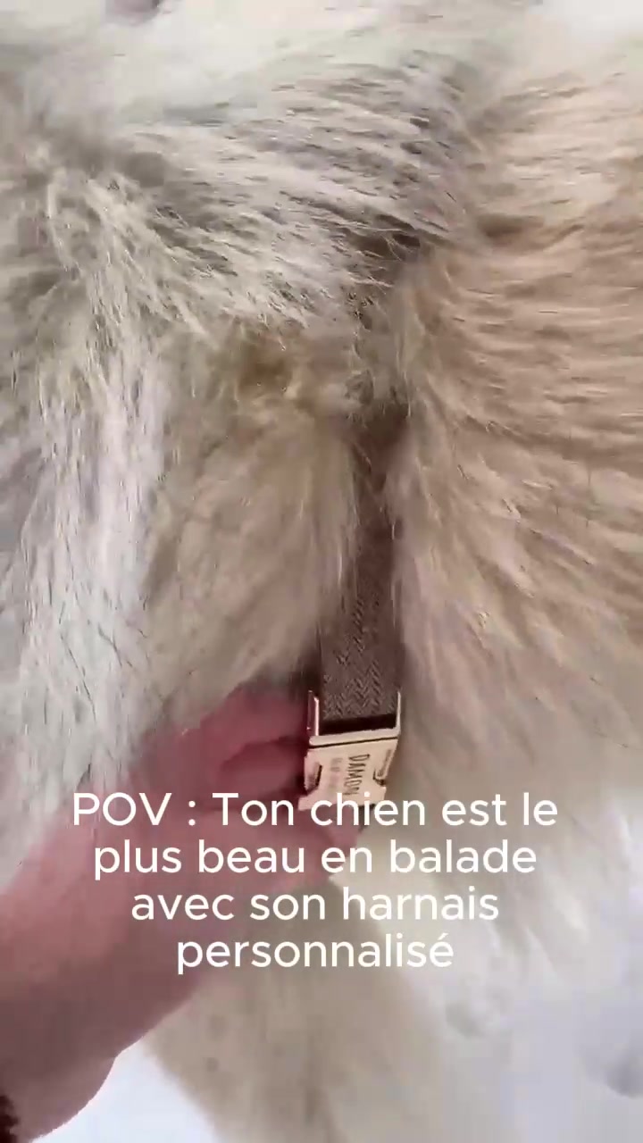 Bande de Canailles Facebook ad: Offrez leur le look qu'il mérite