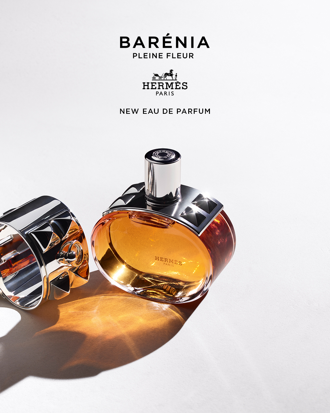 Hermès Facebook ad