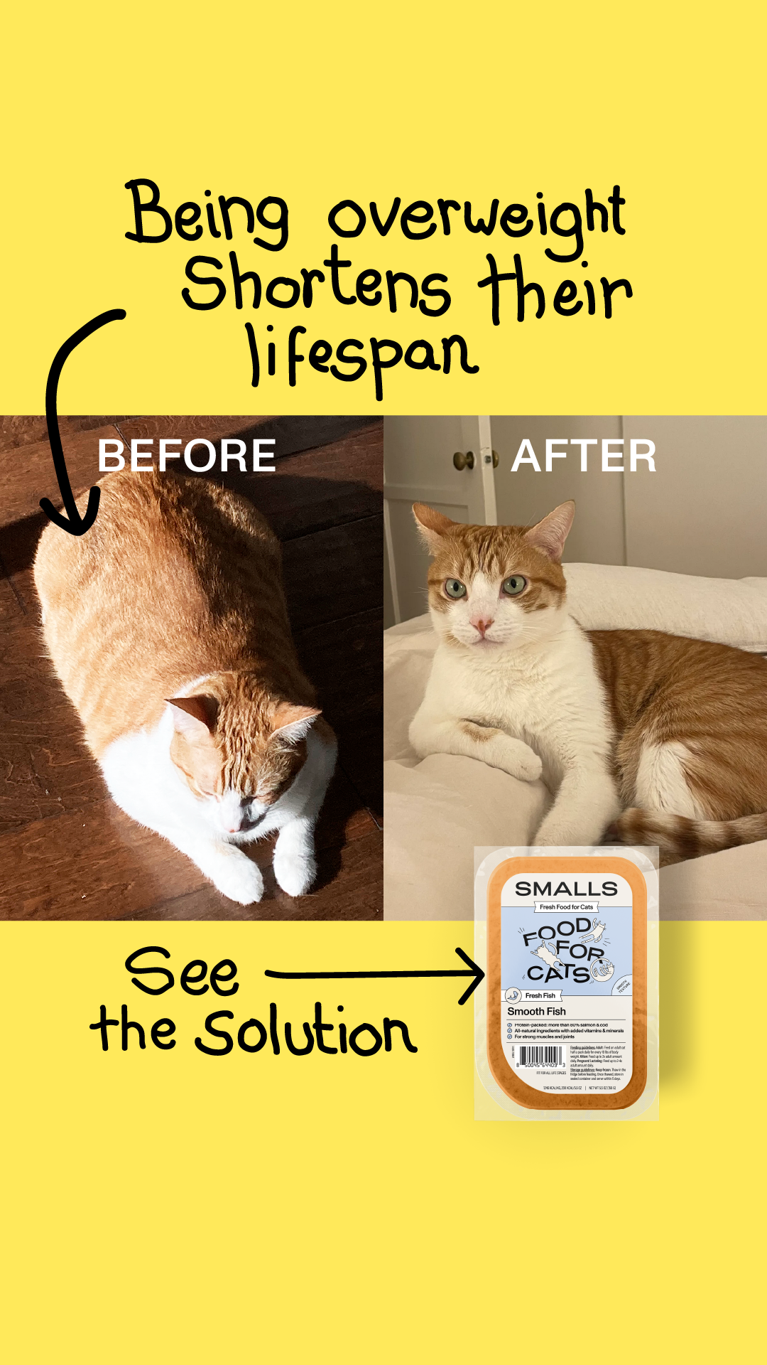 Smalls Facebook ad