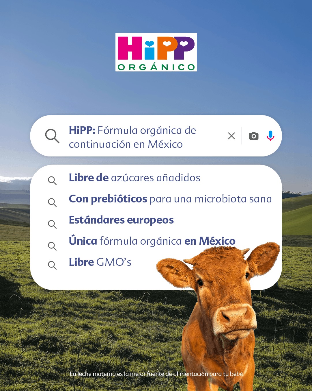 HiPP México Facebook ad