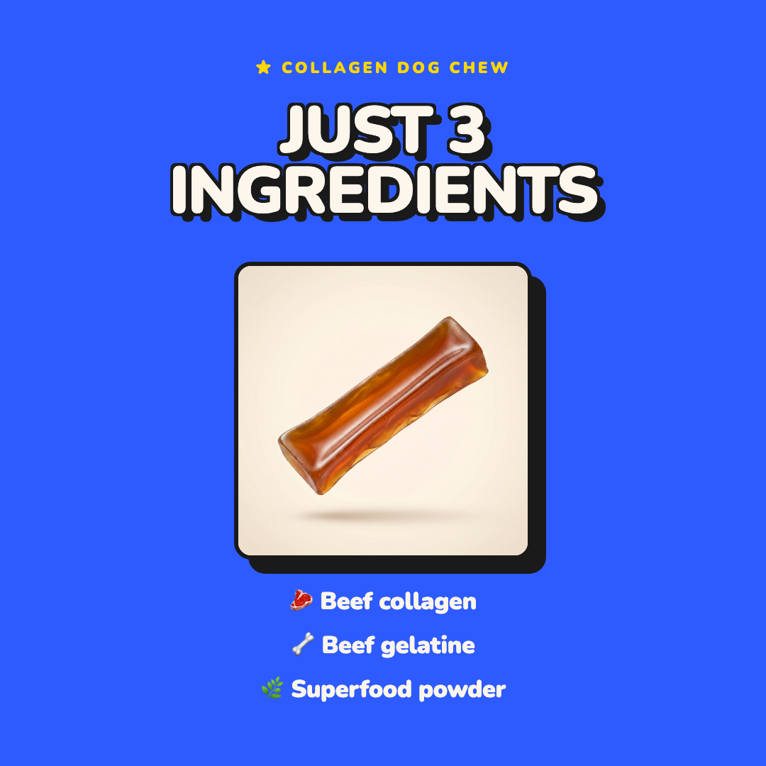 FANGZ Dog Chews Facebook ad: 3 ingredients in this dog chew