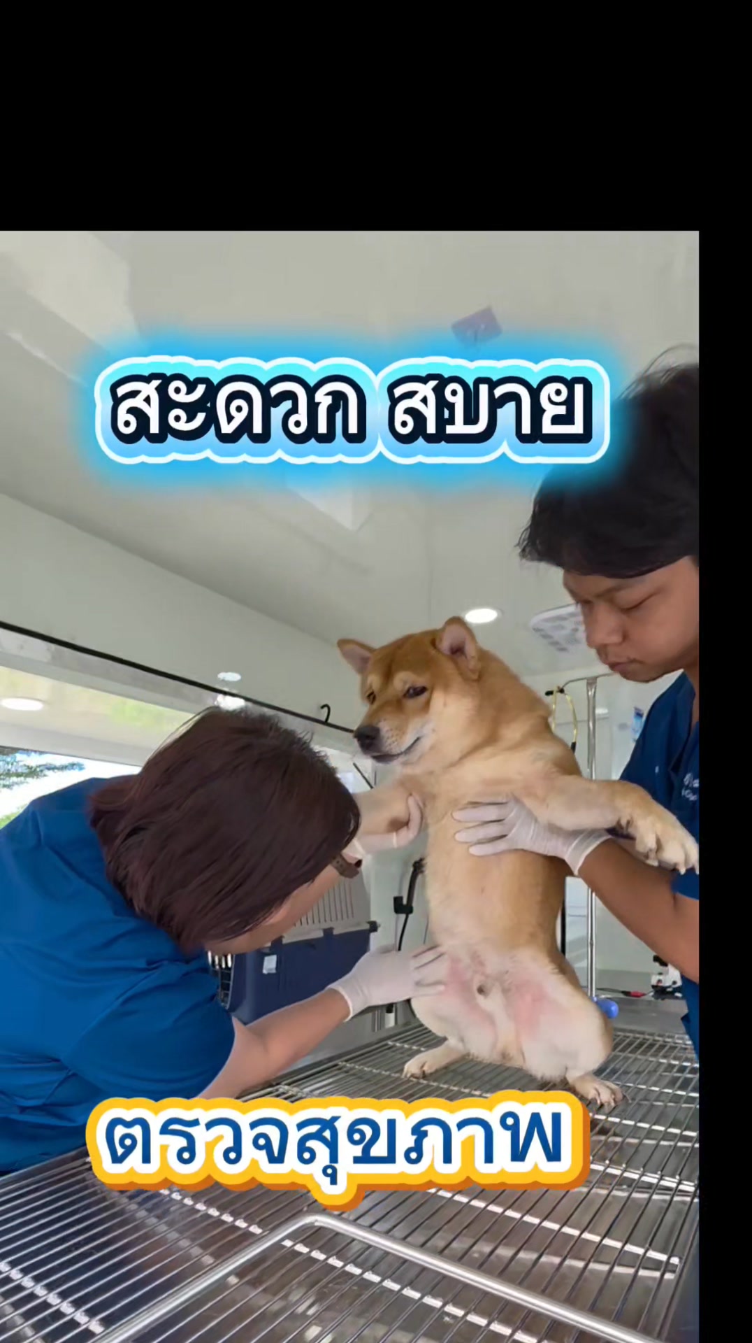Box Box Pet Clinic Facebook ad: ไม่ว่าคุณจะอยู่ที่ไหนบริการ สัตว์แพทย์ถึงบ้าน…