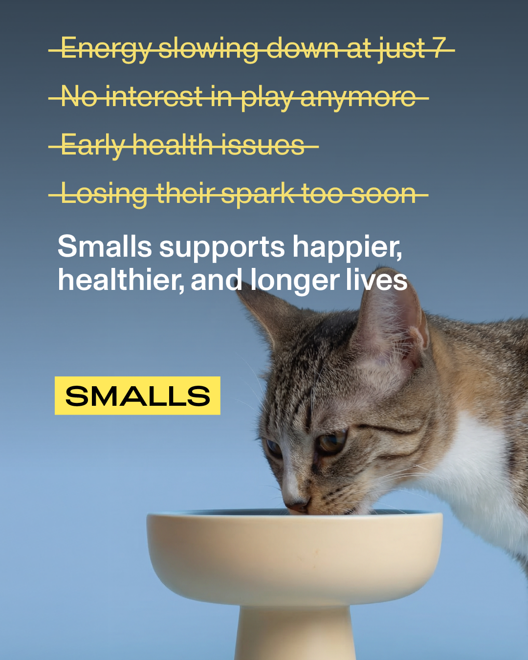 Smalls Facebook ad