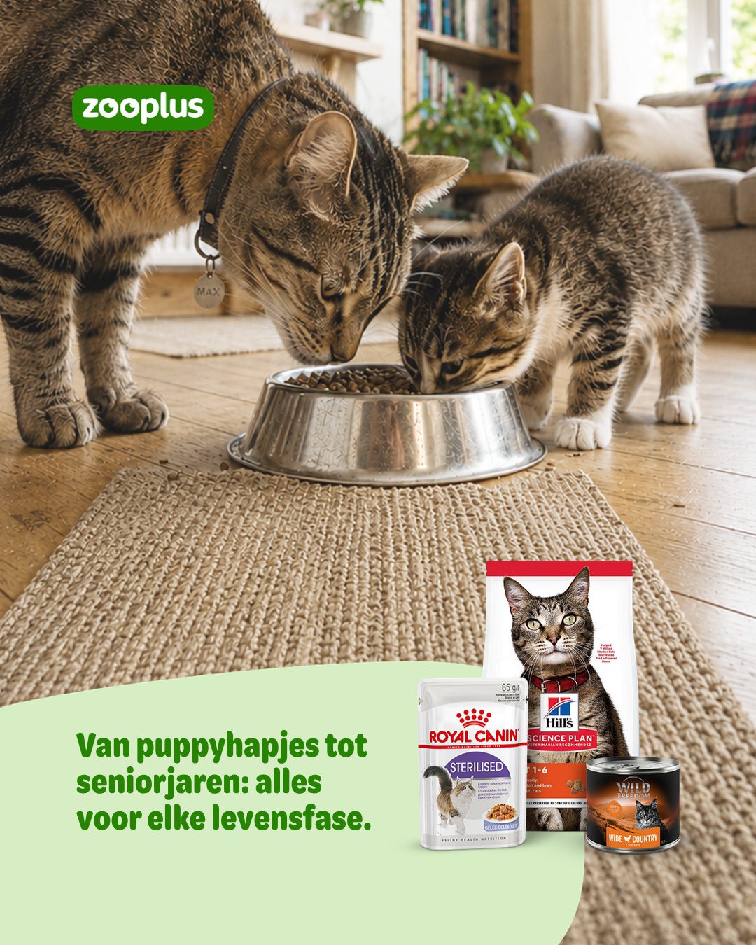 zooplus Facebook ad