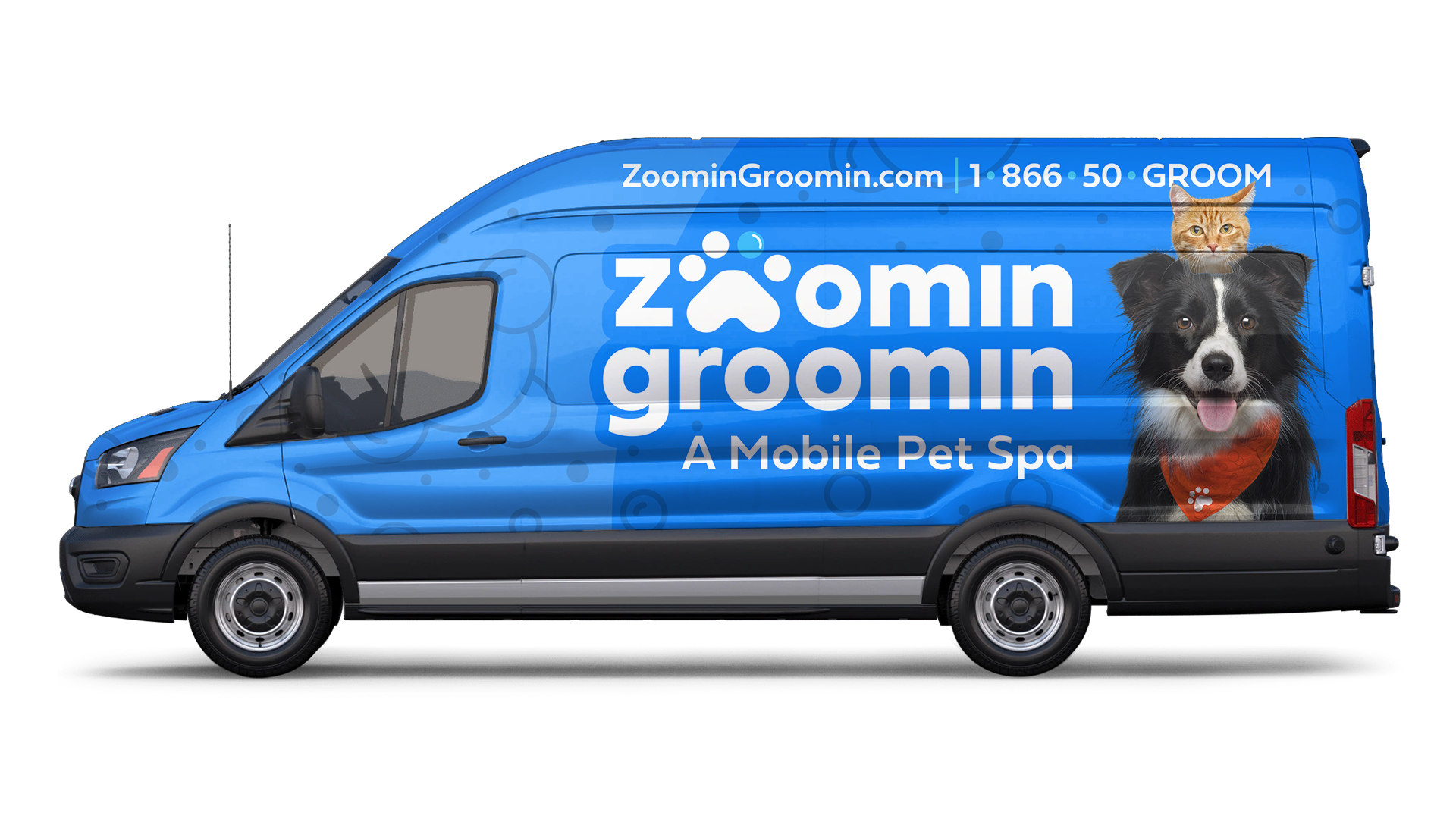 Zoomin Groomin - Austin, Northeast, TX Facebook ad: Book Today!