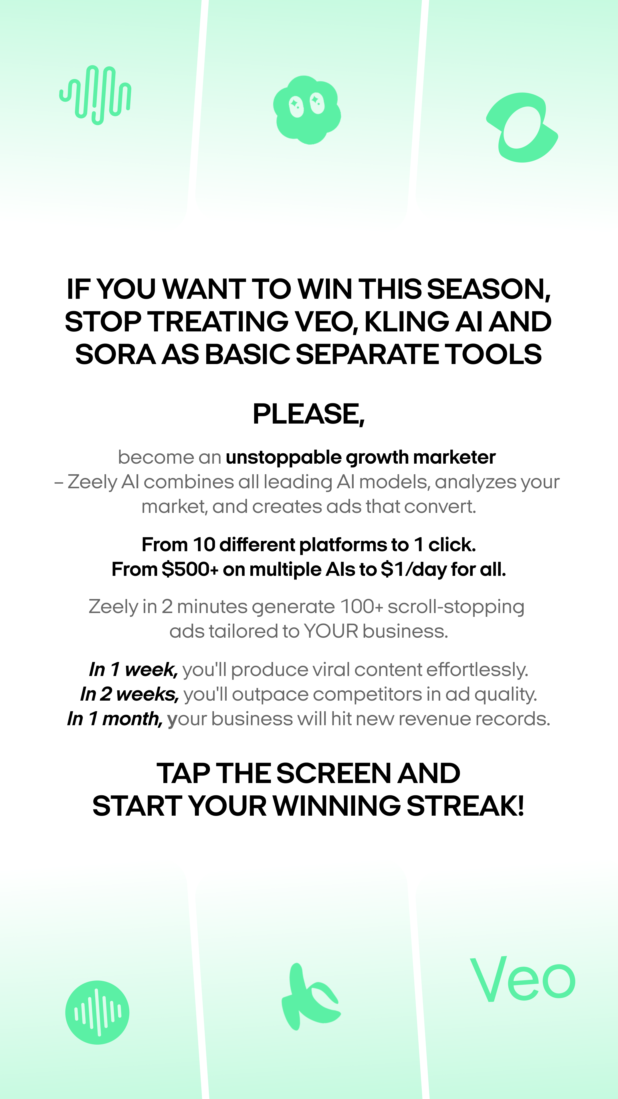 Zeely Facebook ad