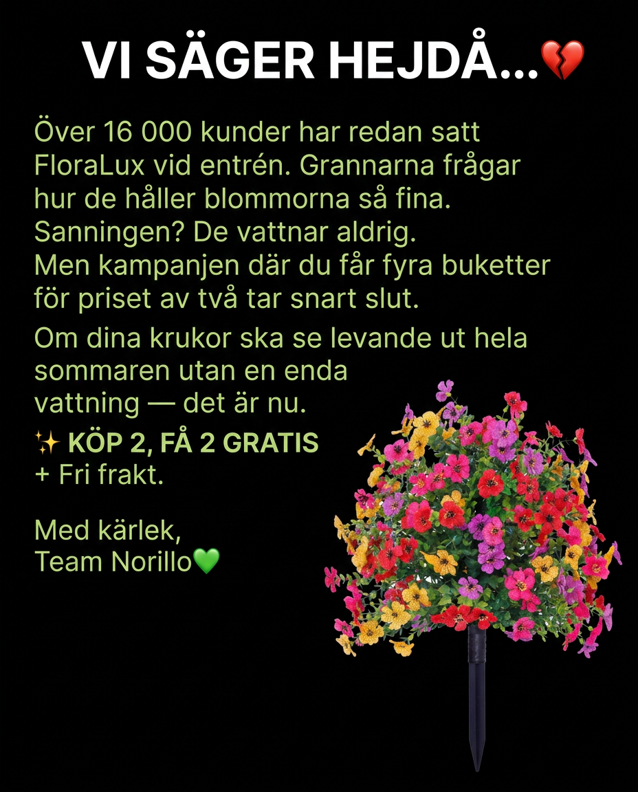 Norillo Facebook ad