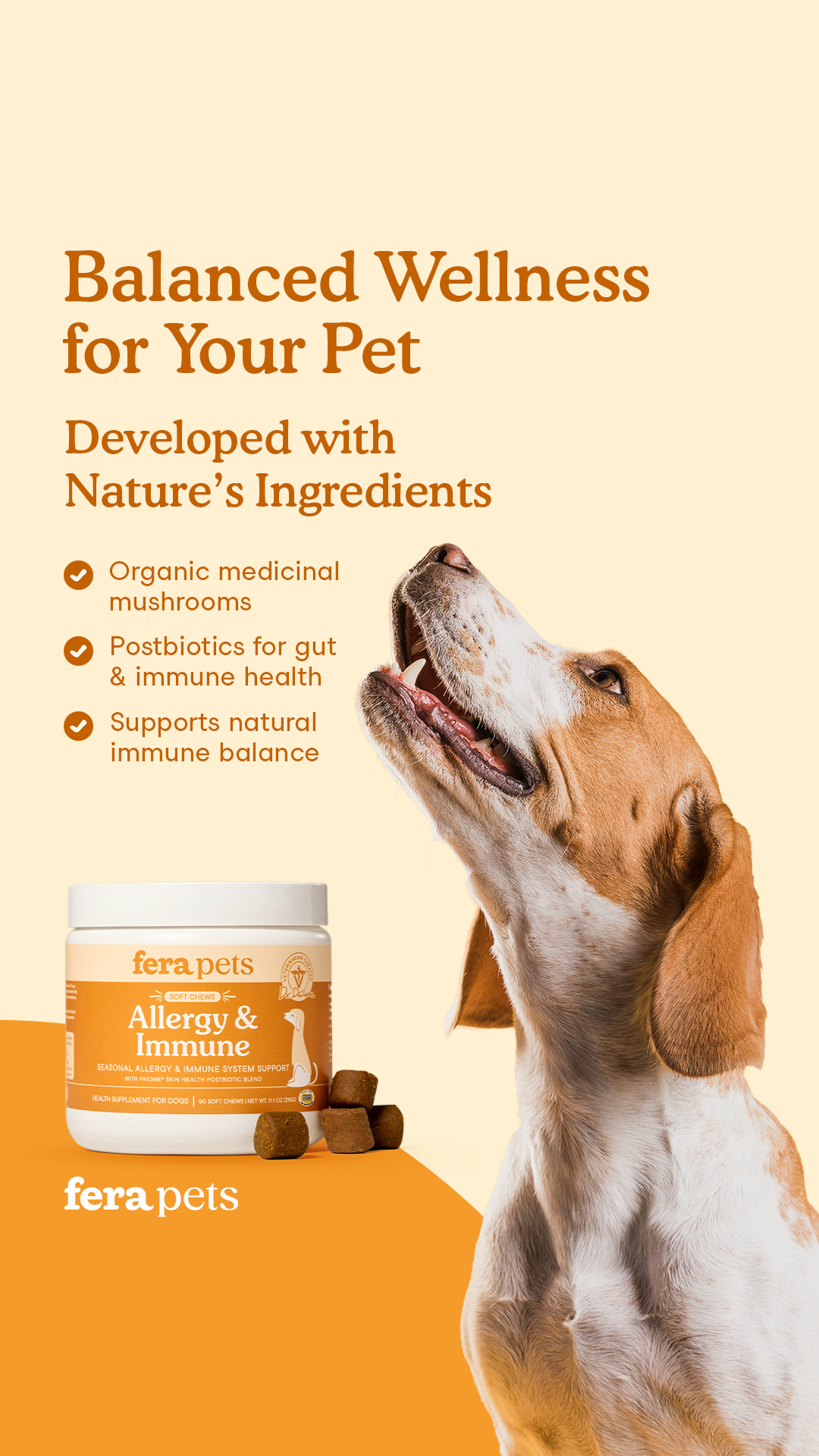 Fera Pets Facebook ad