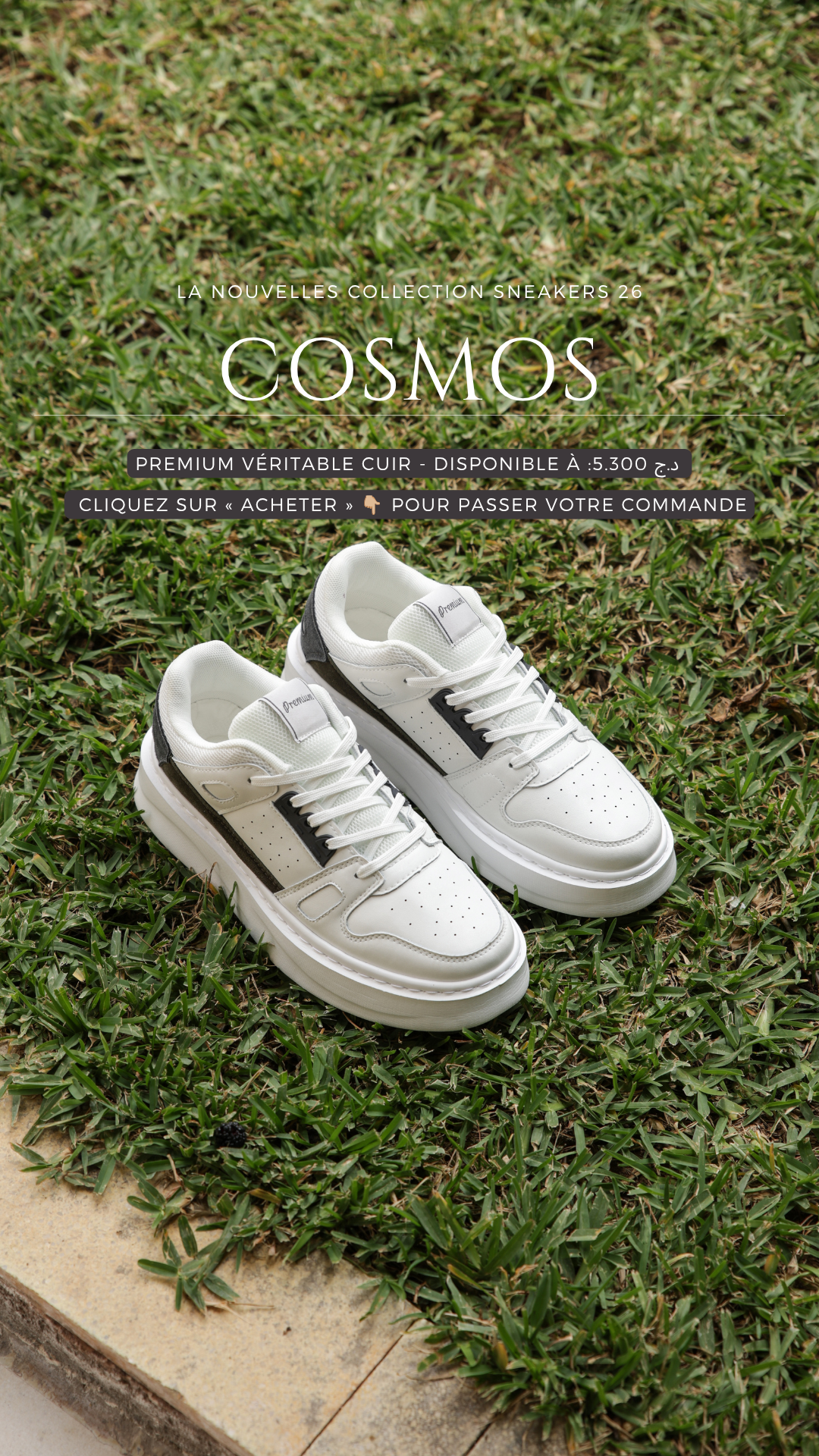Cosmos Algerie Facebook ad
