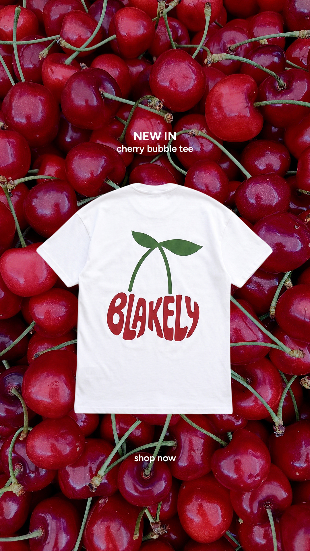 Blakely Clothing Co. Facebook ad