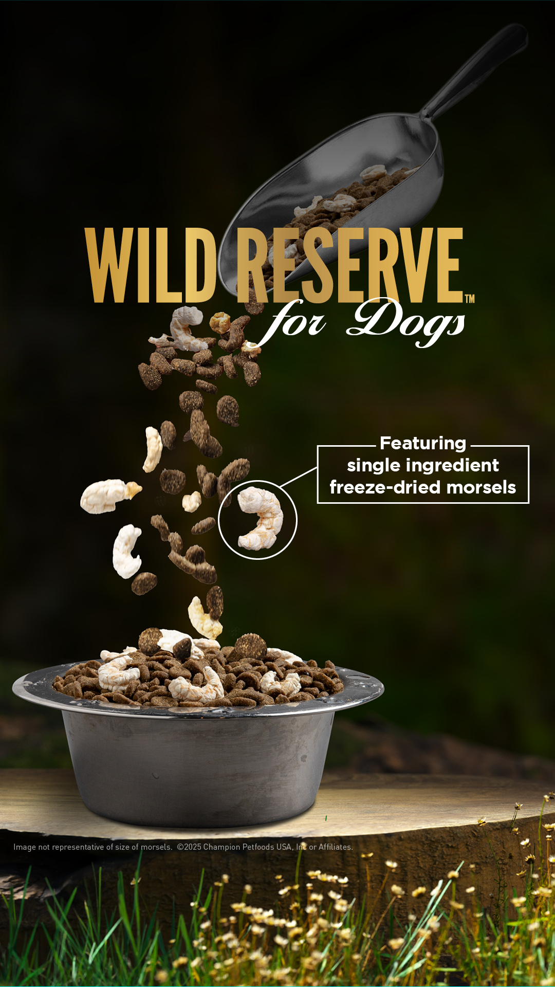 ORIJEN Dog and Cat Food Facebook ad from Jan 28, 2026