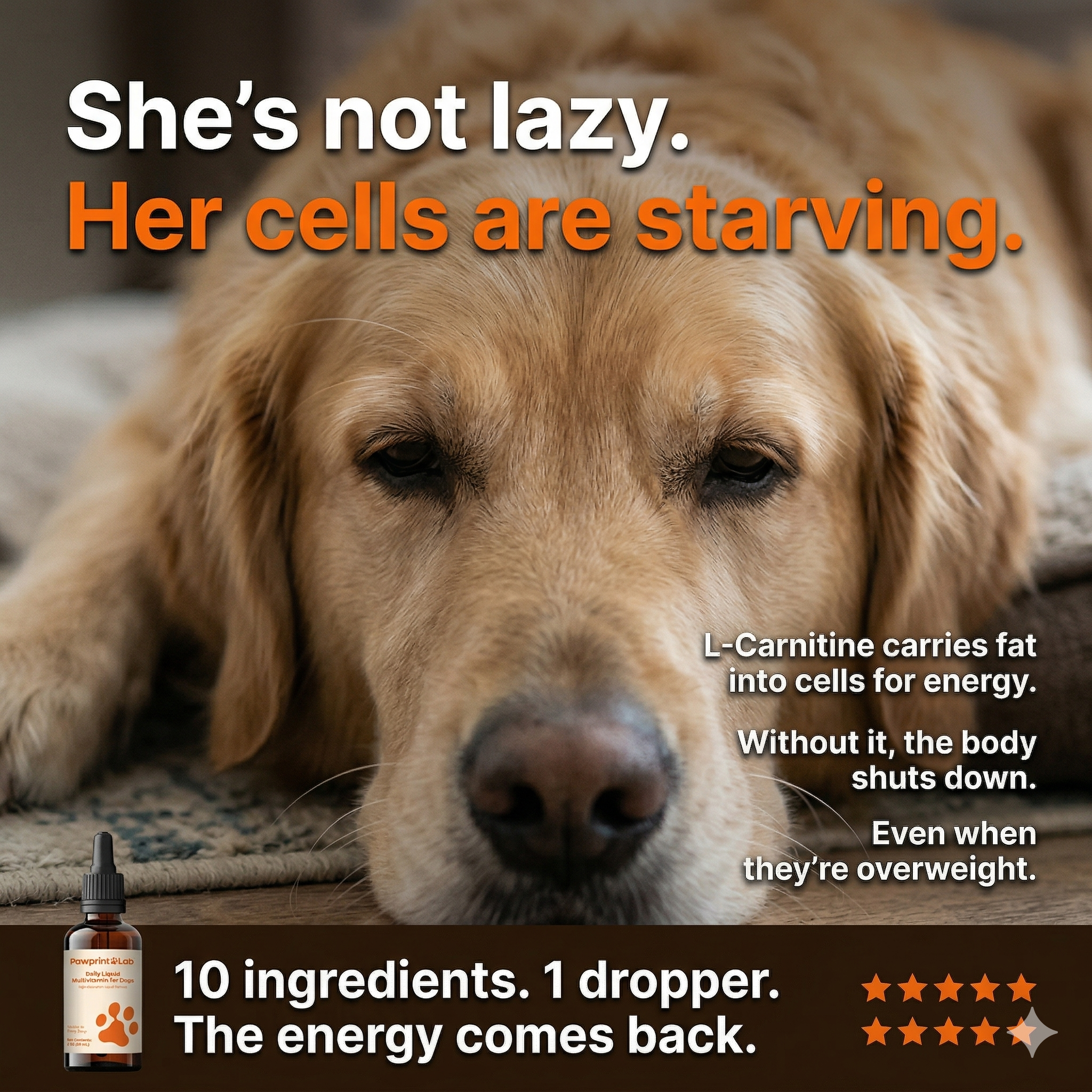 Vet-Approved Pet Products Facebook ad
