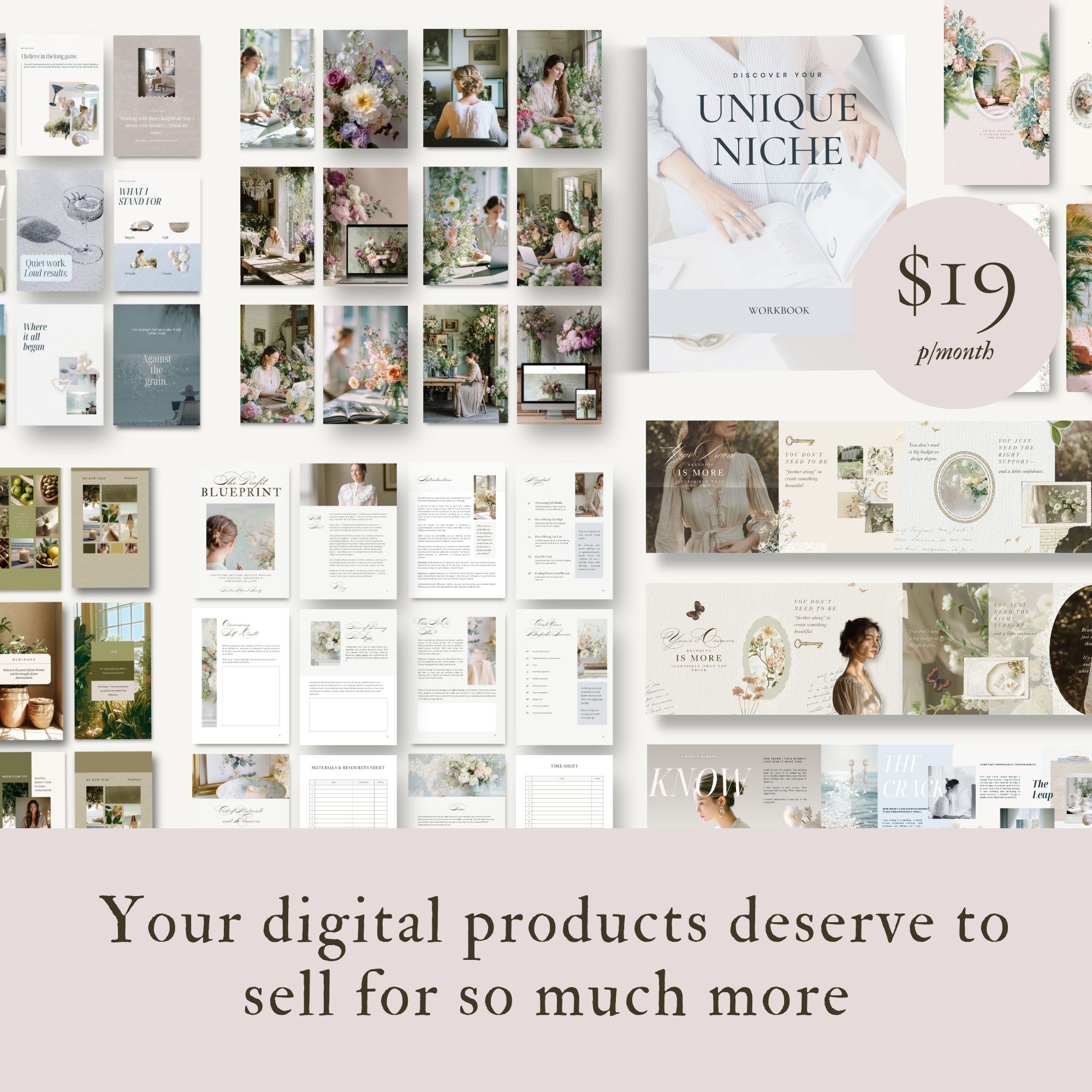 Rosey Willis Facebook ad: Premium PLR Templates