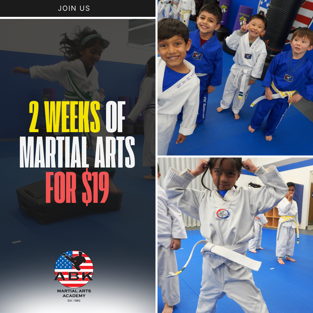 America's Best Karate - Sunnyvale Facebook ad: Join Our Tight-Knit Martial Arts Family!