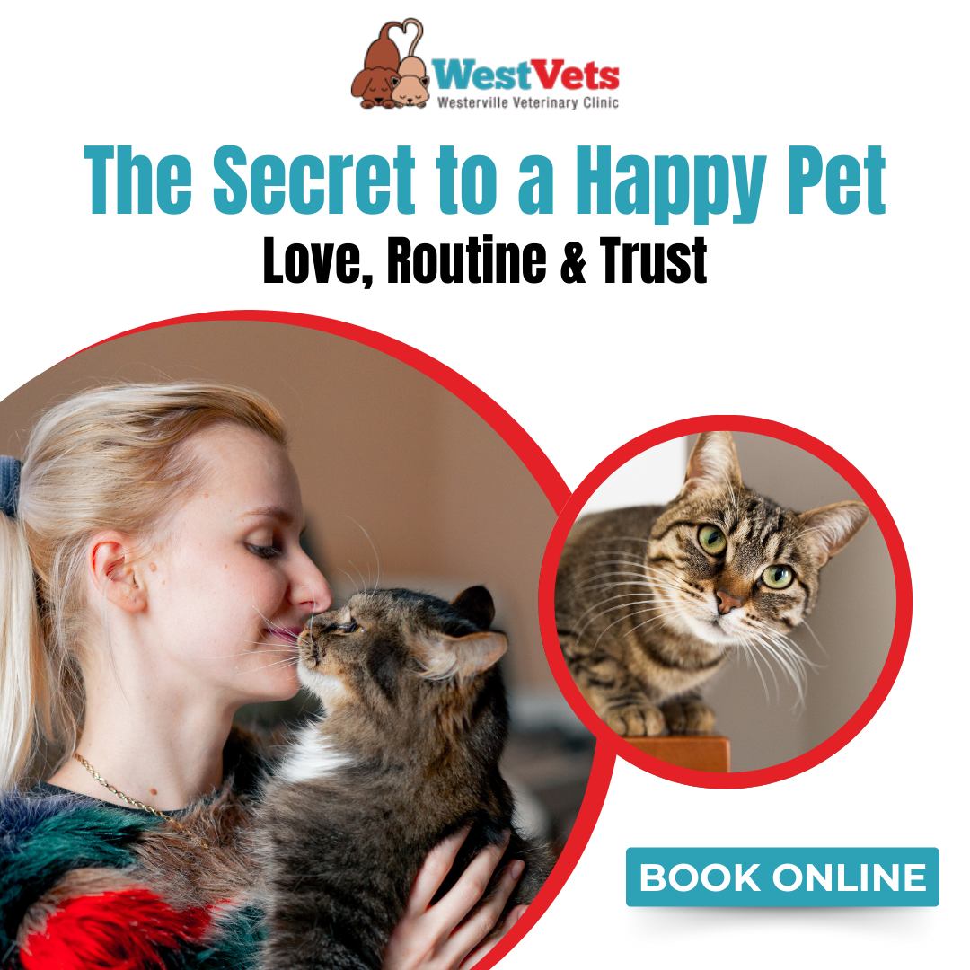 Westerville Veterinary Clinic Facebook ad