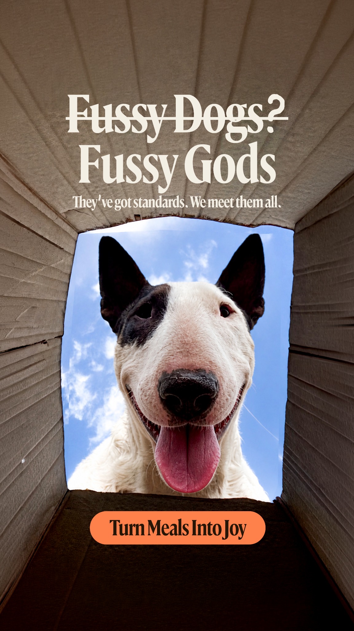 Different Dog Facebook ad