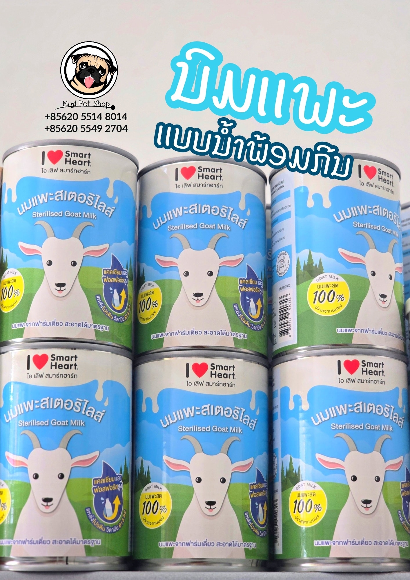 MOJI Pet Shop - ຂາຍເສື້ອໝາ ອຸປະກອນຫມາ Facebook ad: ທຸກຢ່າງໃນໂພສ ມີເຄື່ອງພ້ອມສົ່ງນ້າາາ