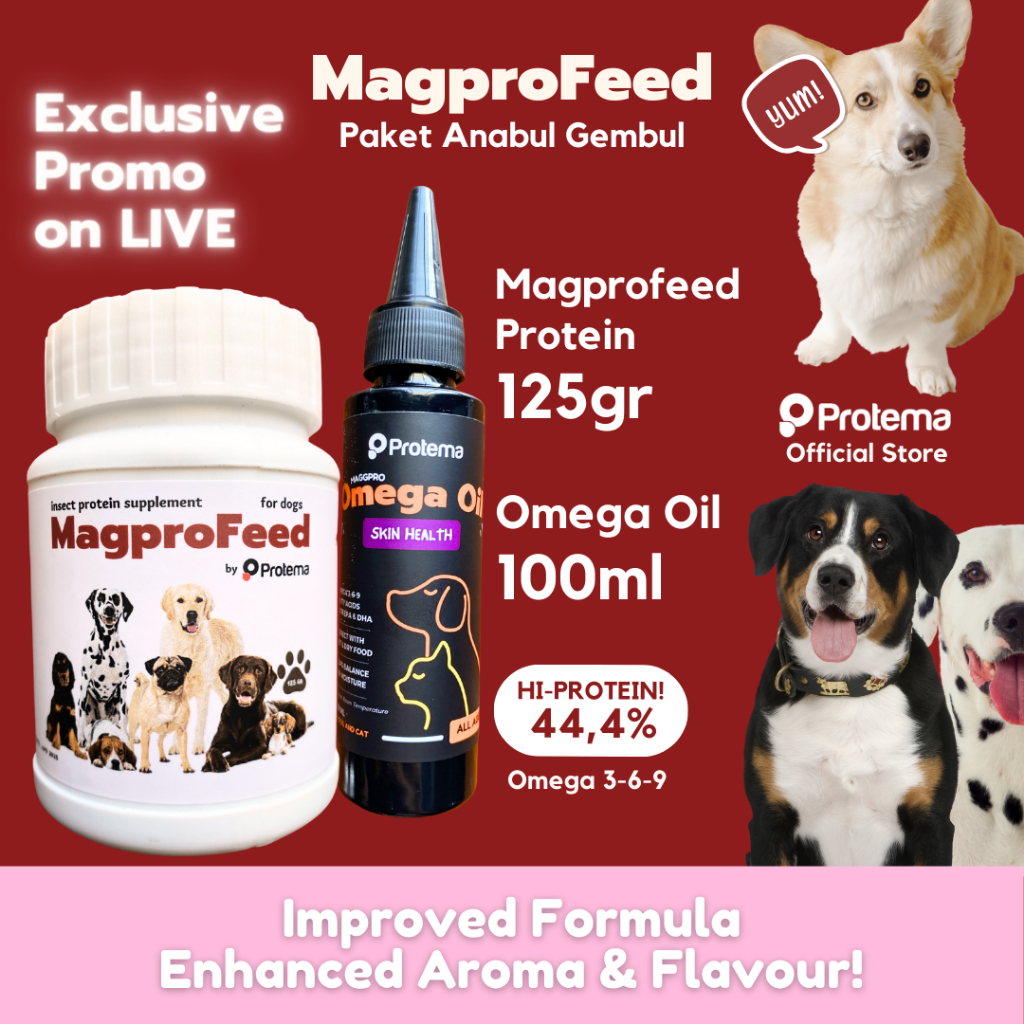 Maggpro.id Facebook ad: Solusi pelihara kucing bebas bau
