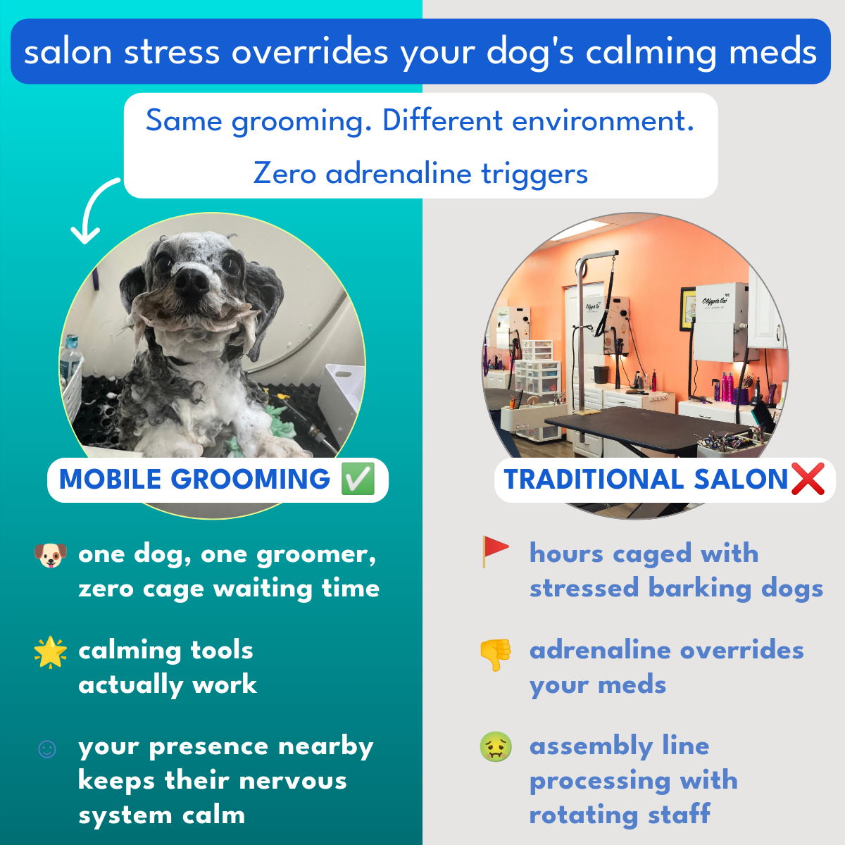 Pawradisego Mobile Grooming Facebook ad: Stress-Free Dog Grooming, Now at Your Doorstep