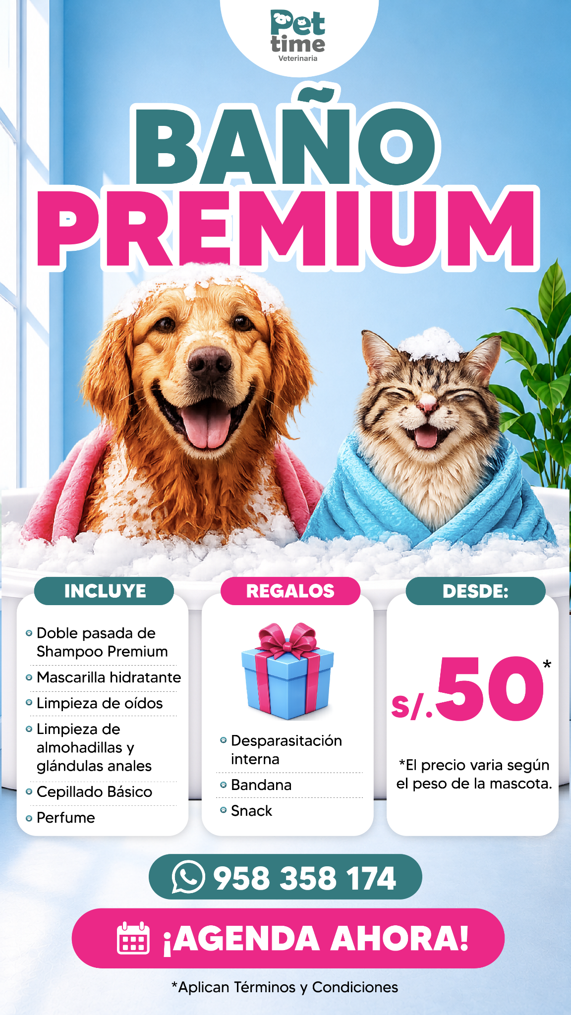 Pet Time Veterinaria Facebook ad from Aug 4, 2026