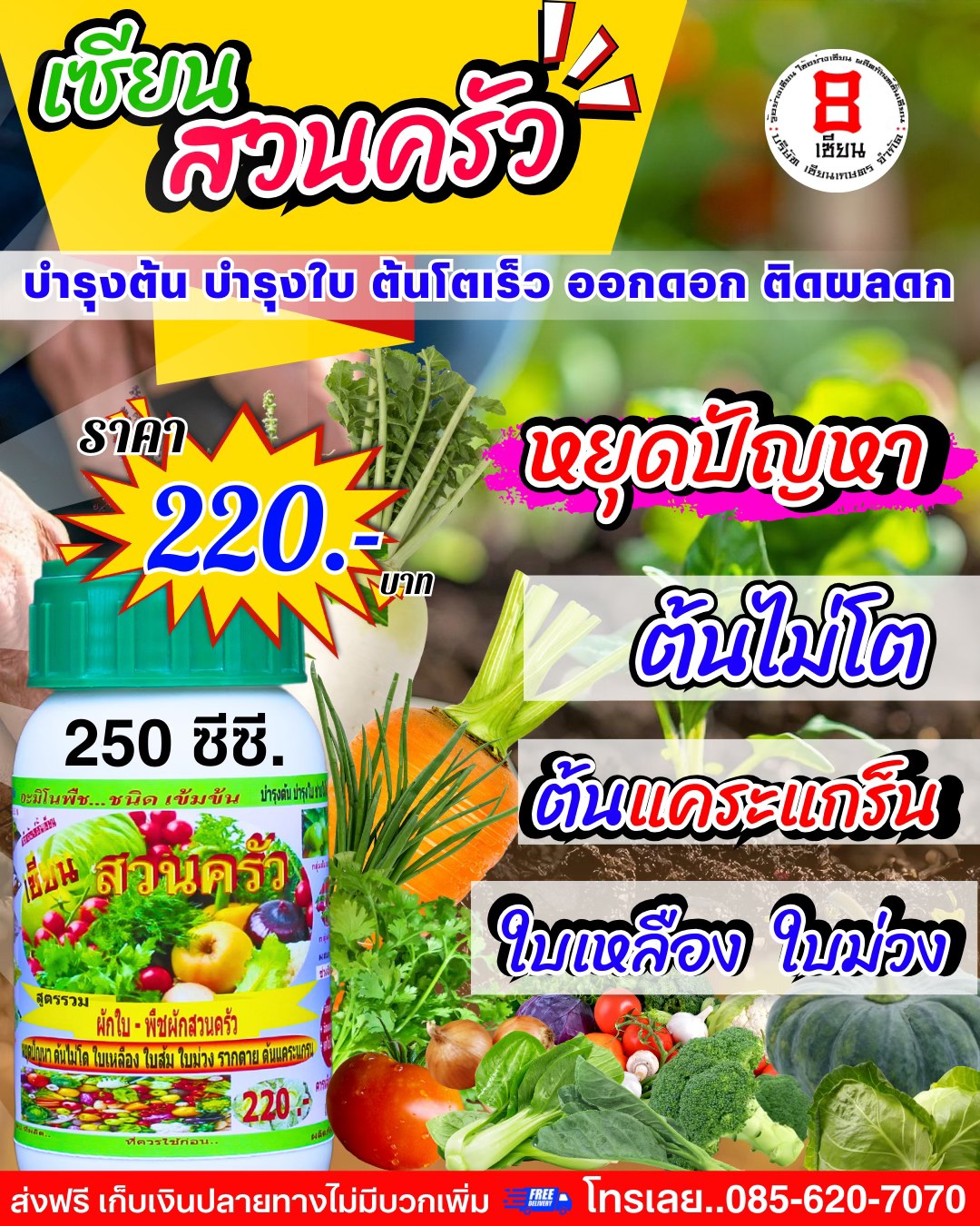8เซียน Sienkaset 085-6207070 Facebook ad