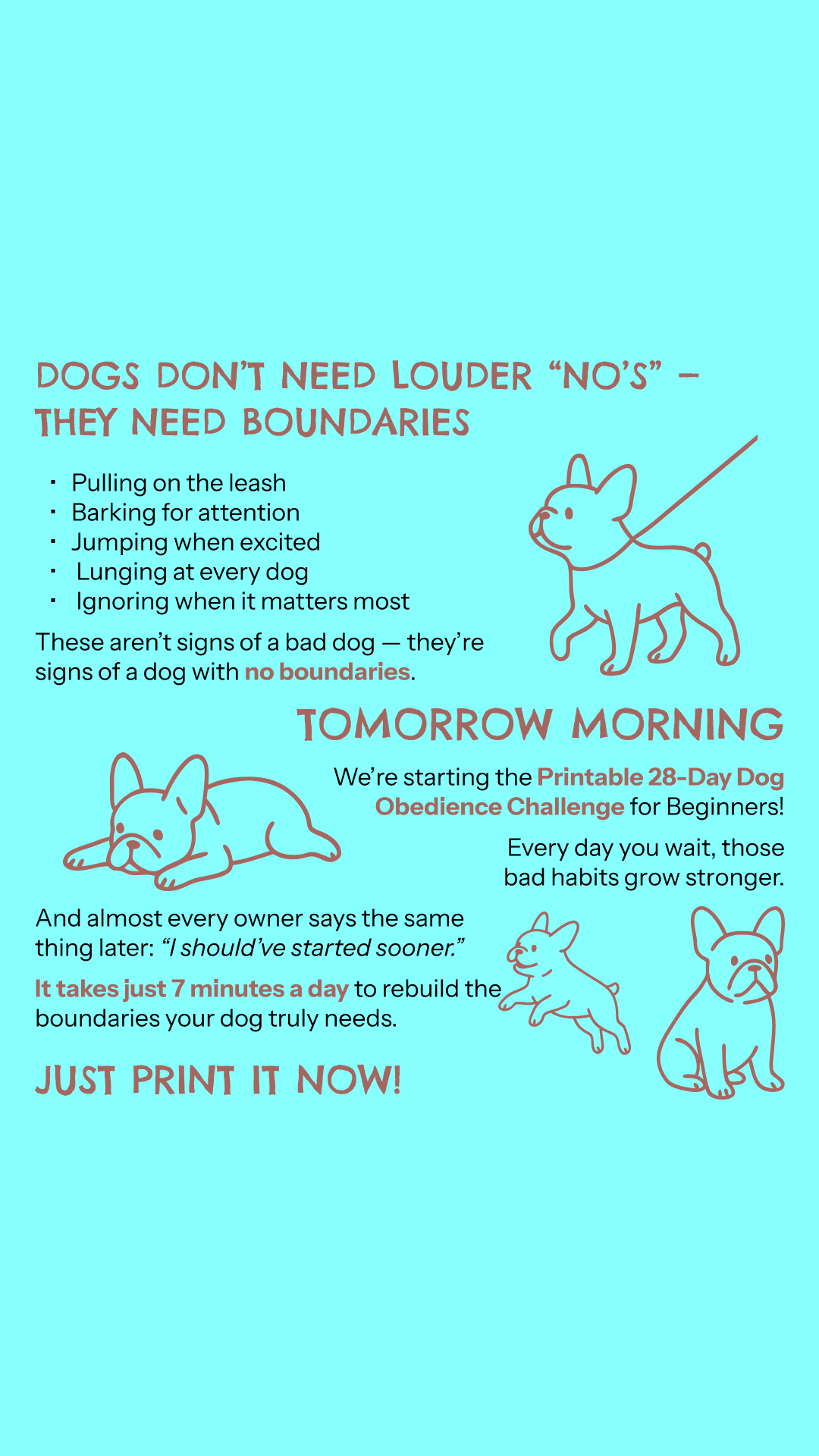 Dog Obedience Challenge Facebook ad: Start Dog Obedience Challenge