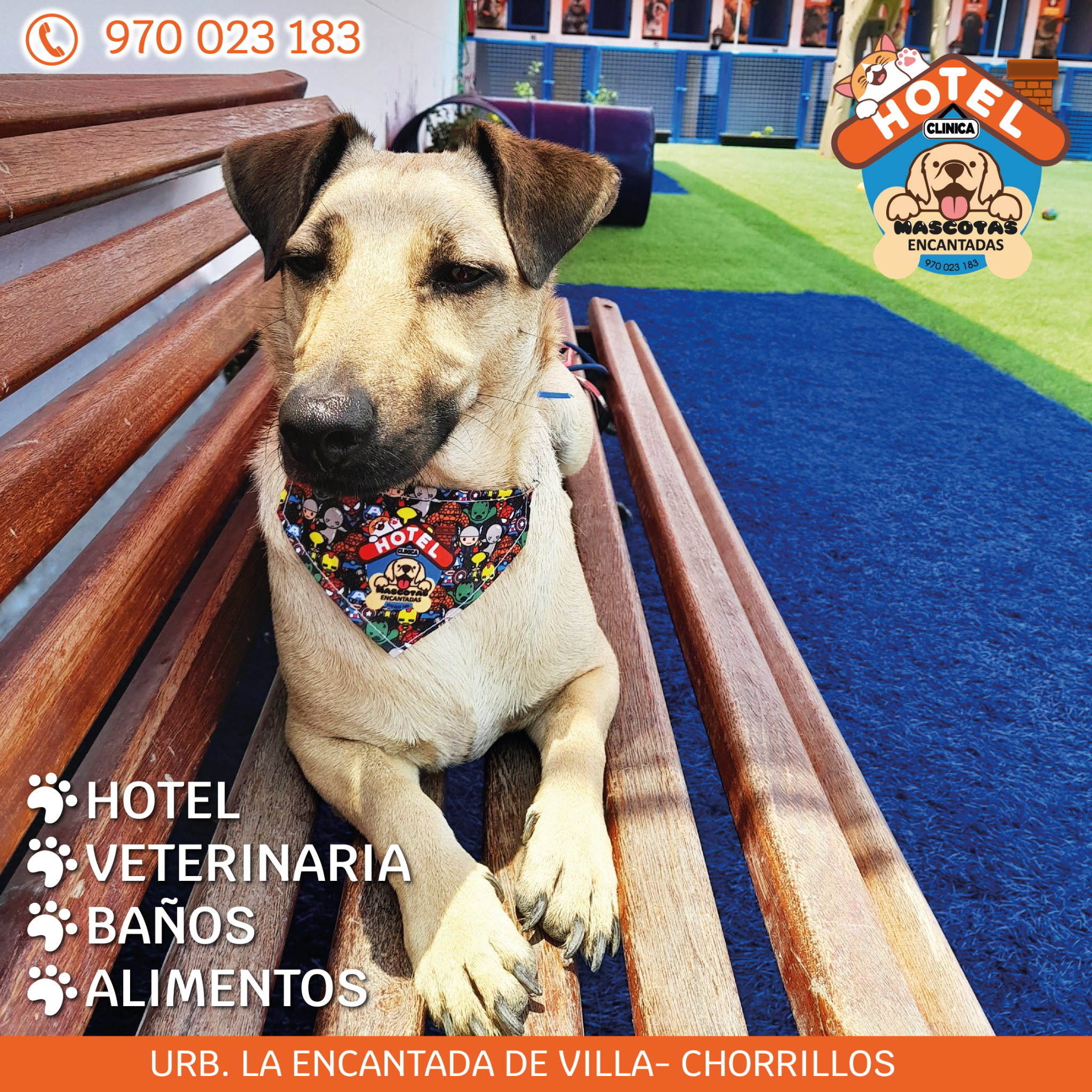 Hotel Mascotas Encantadas Facebook ad