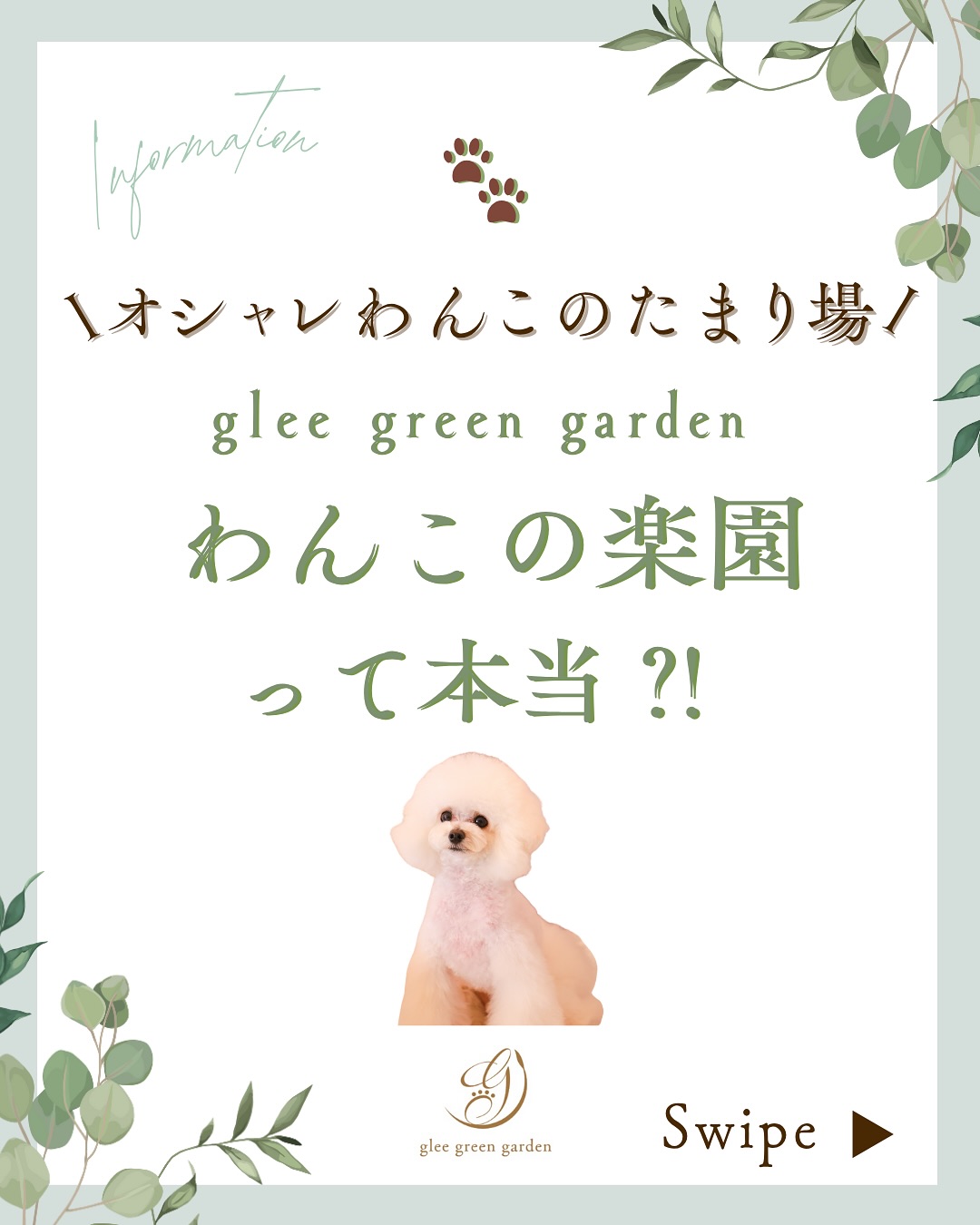 Glee green garden Facebook ad: オシャレわんこのたまり場