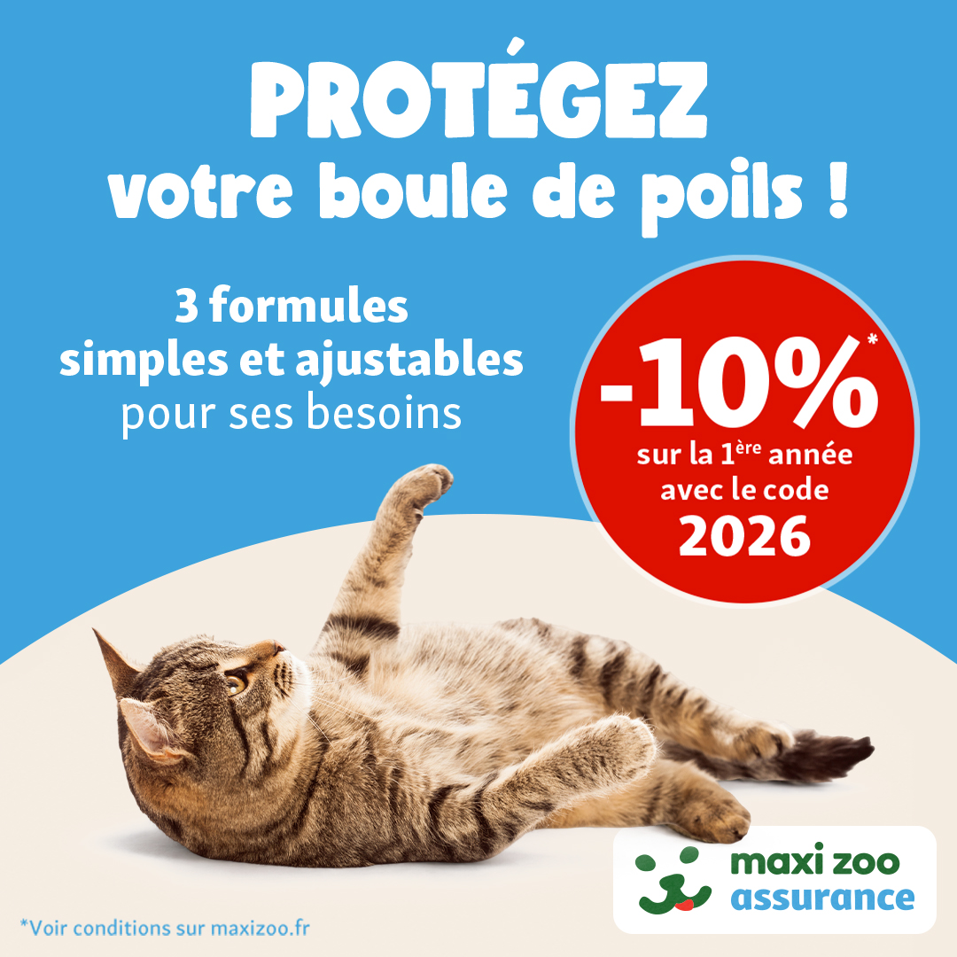 Maxi Zoo France Facebook ad