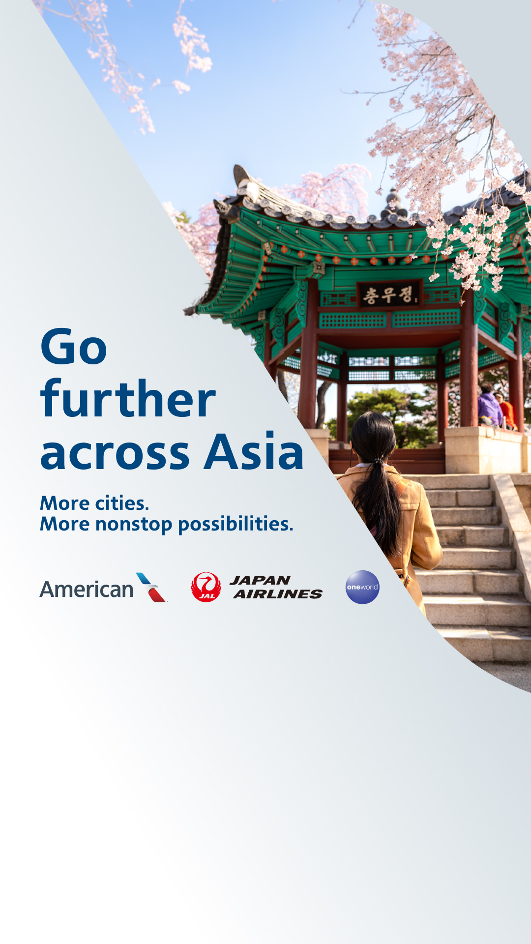 American Airlines Facebook ad