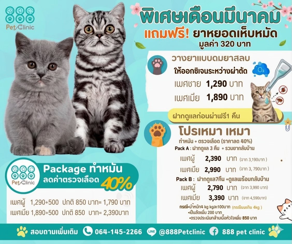 888 Pet Clinic Facebook ad