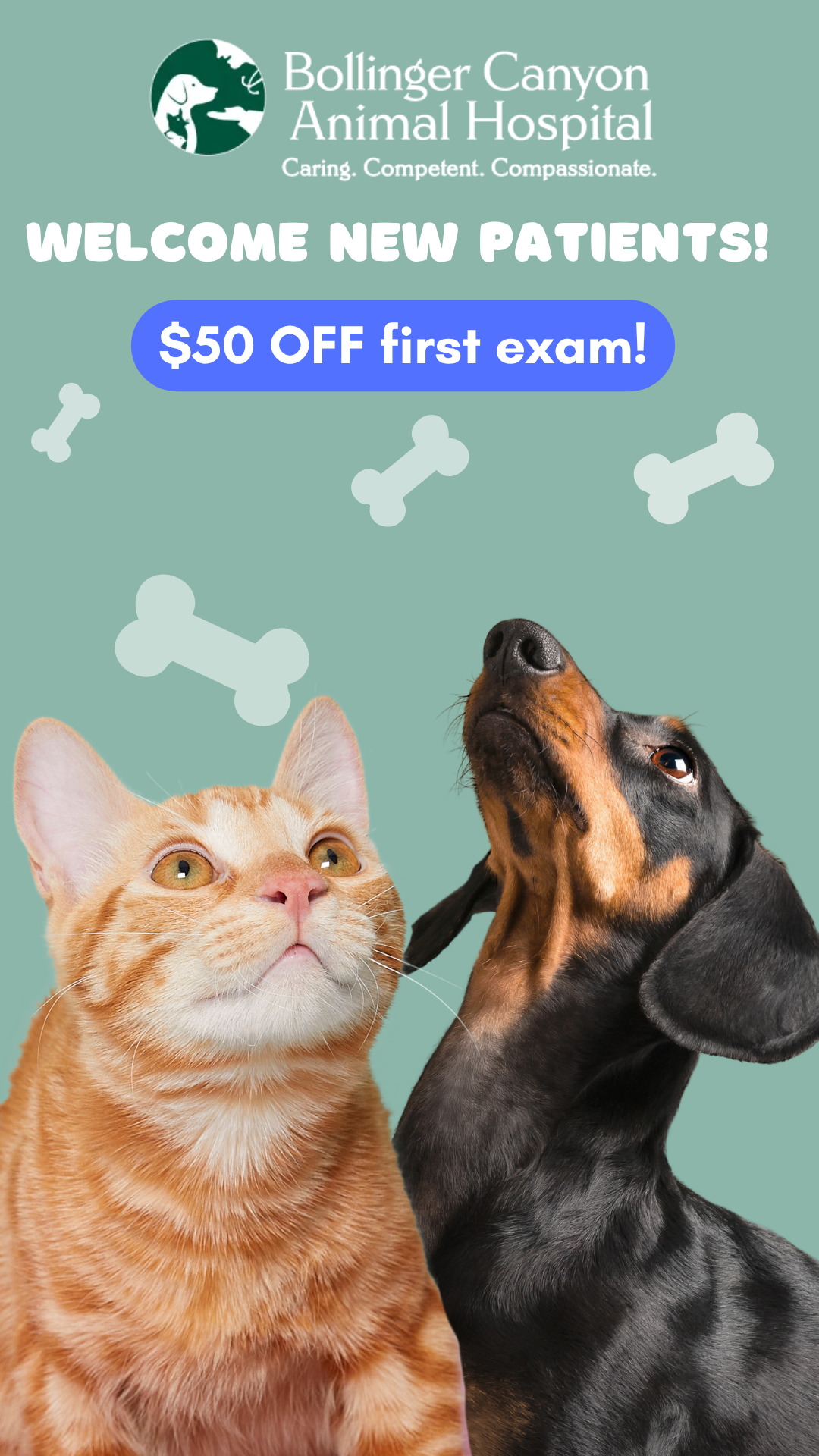 Bollinger Canyon Animal Hospital Facebook ad from Oct 14, 2025