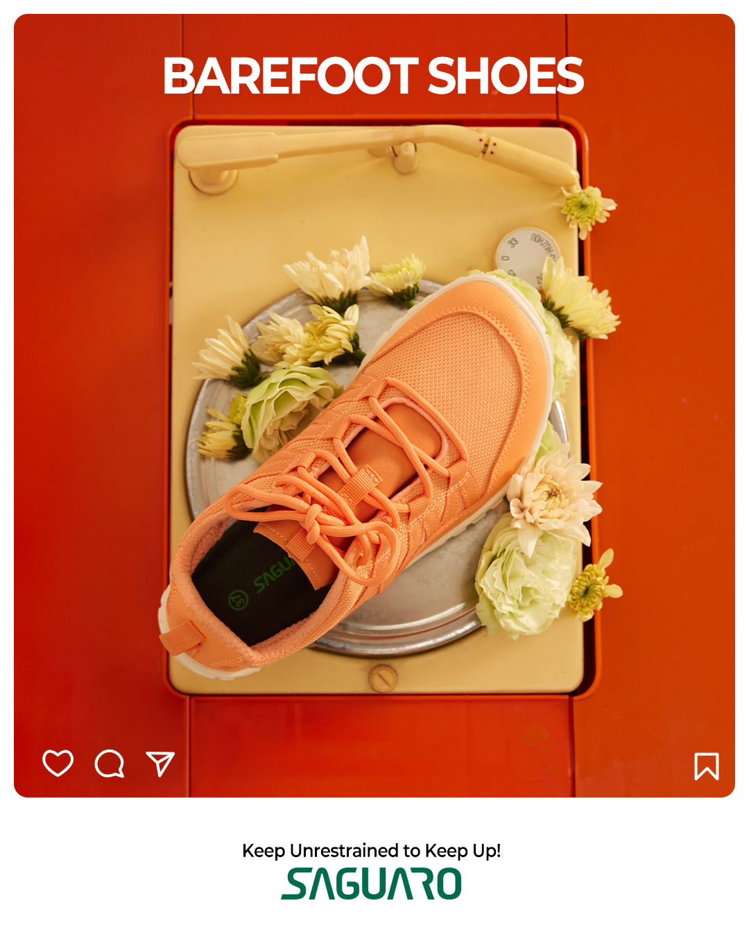 Saguaro US Facebook ad