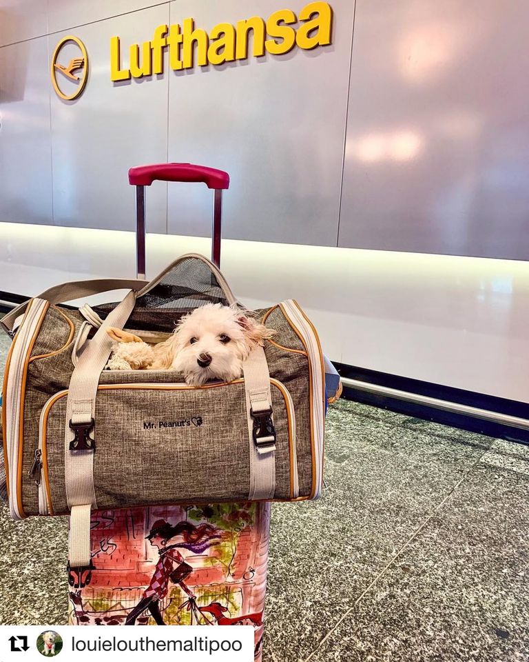 Mr. Peanut's Pet Carriers Facebook ad