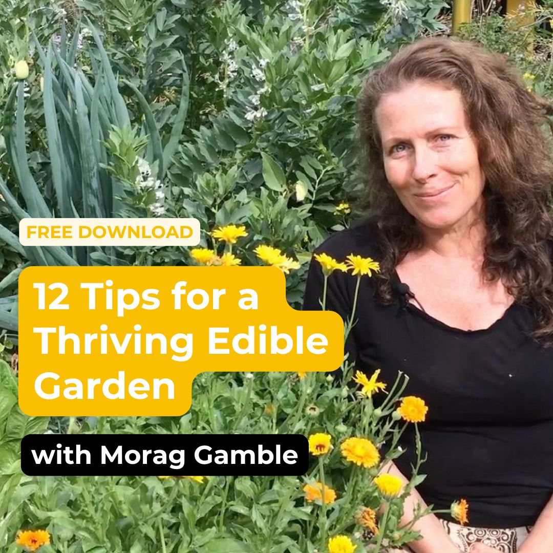 Permaculture Education Institute Facebook ad: Free Download: Simple Tips for Edible Gardening, Nature’s…