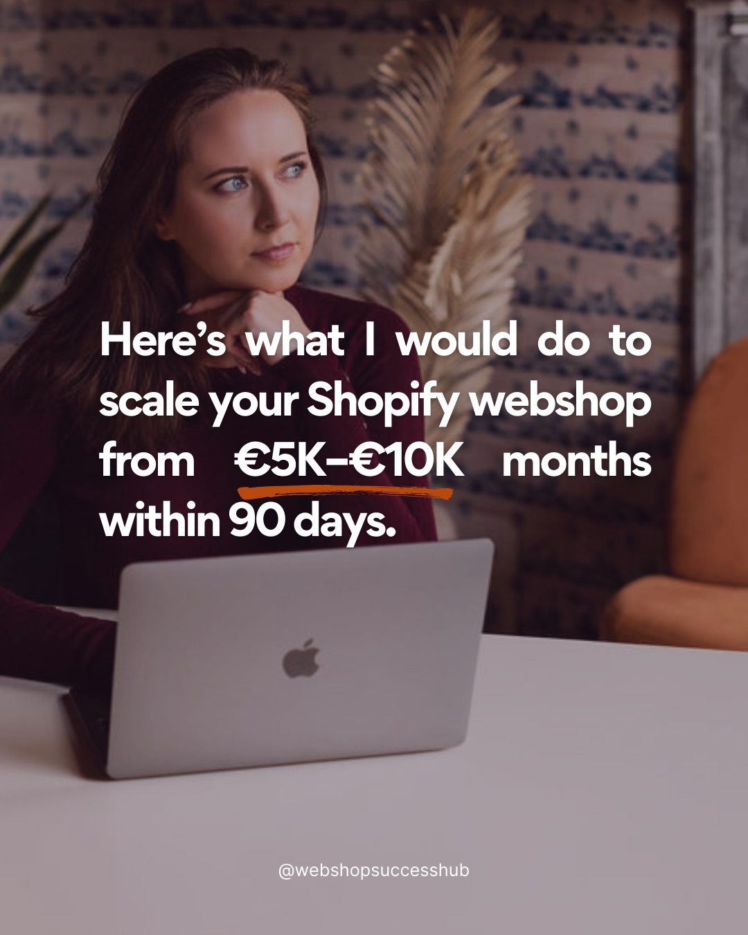 The Webshop Success Hub Facebook ad