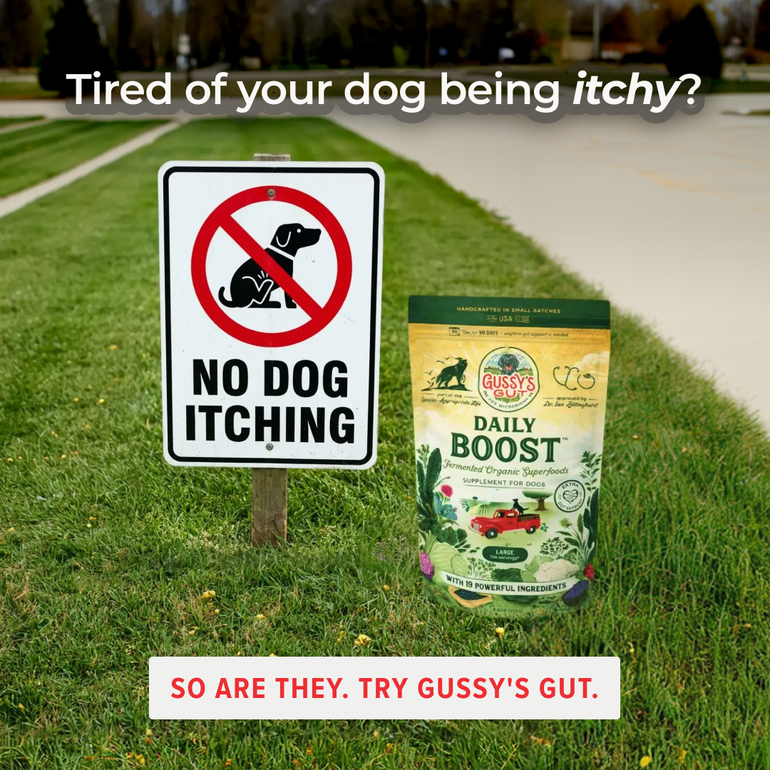 Gussys Gut Facebook ad