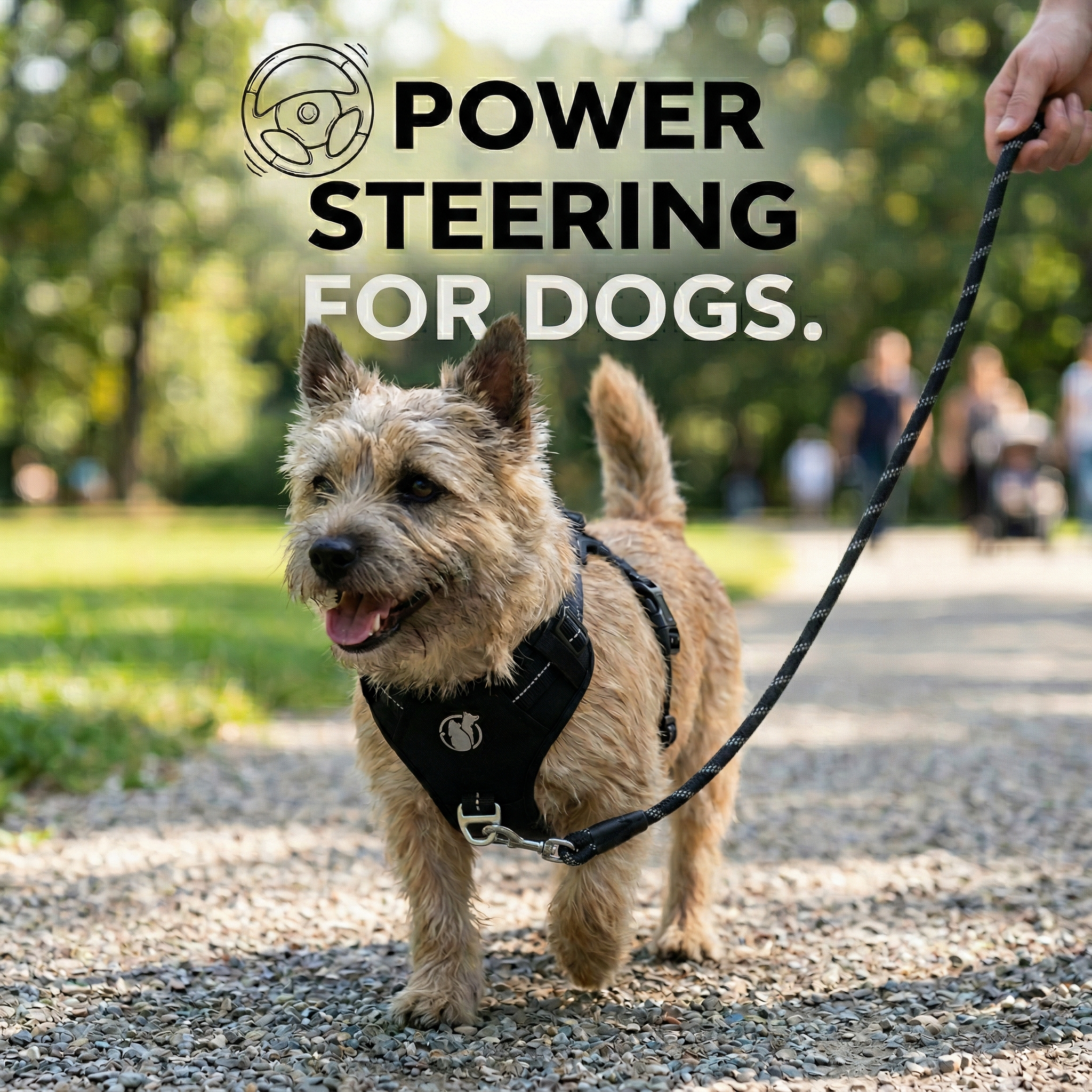 Life's Better With Dogs Blog Facebook ad
