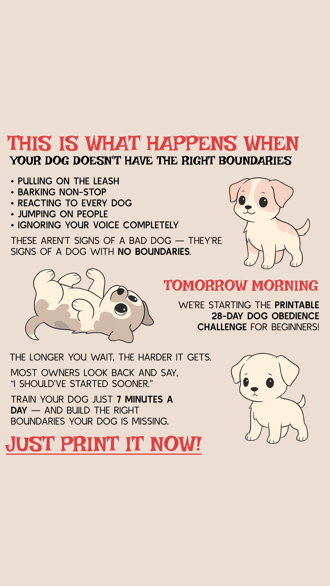 28 Day Dog Obedience Challenge Facebook ad