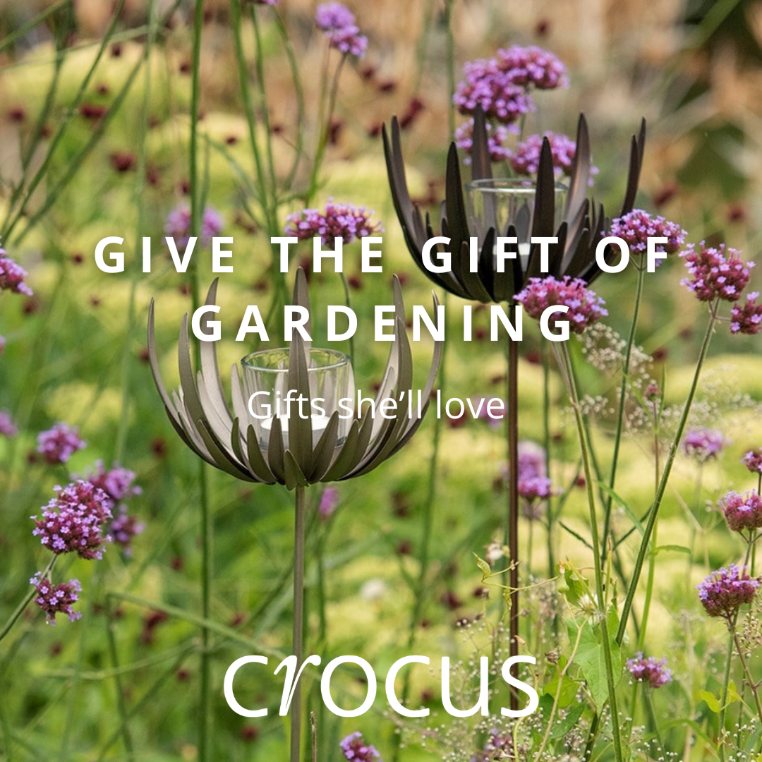 Crocus.co.uk Facebook ad