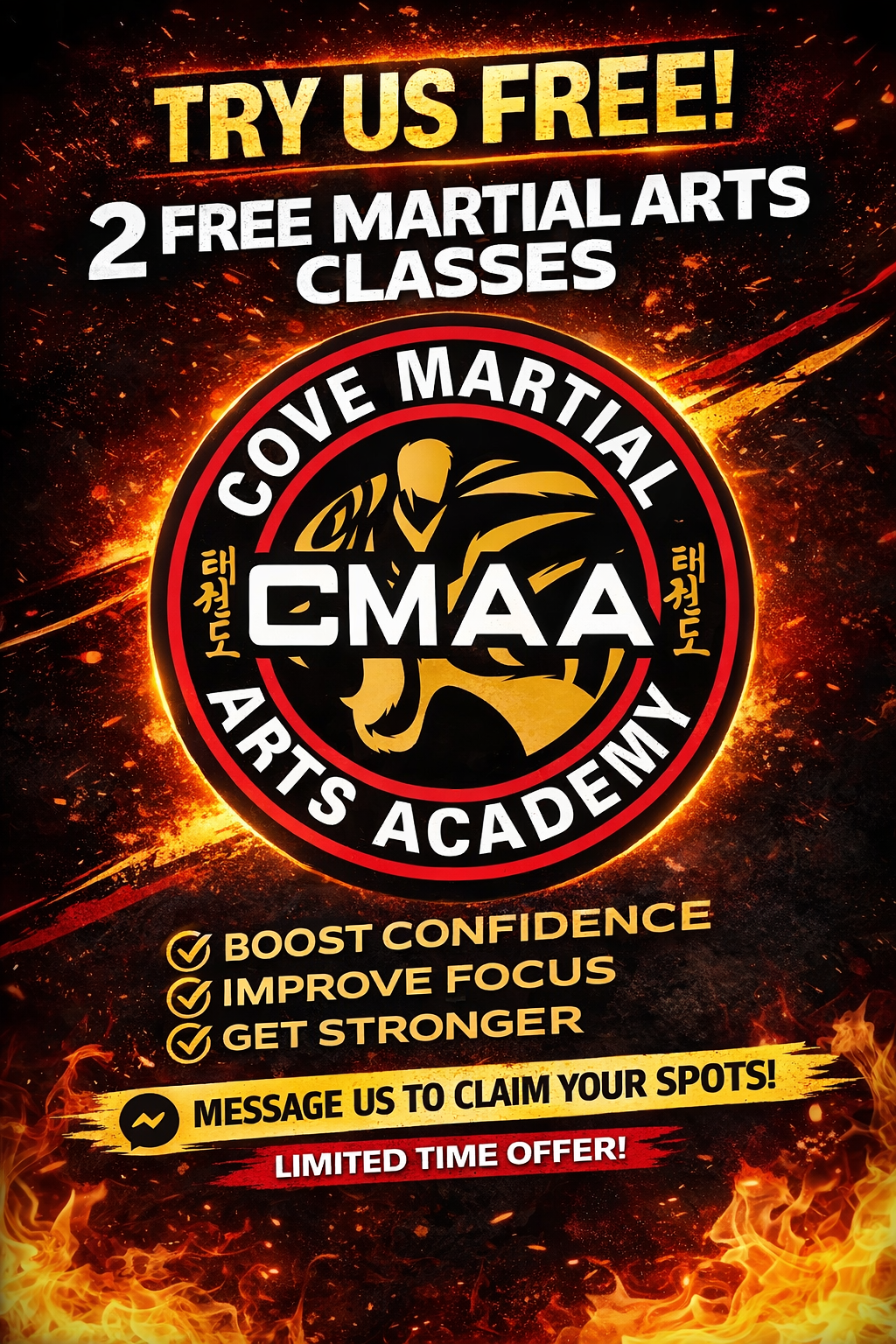 Cove Martial Arts Academy Facebook ad from Mar 24, 2026