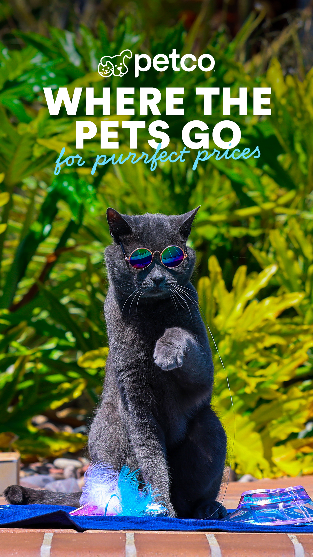 Petco Facebook ad