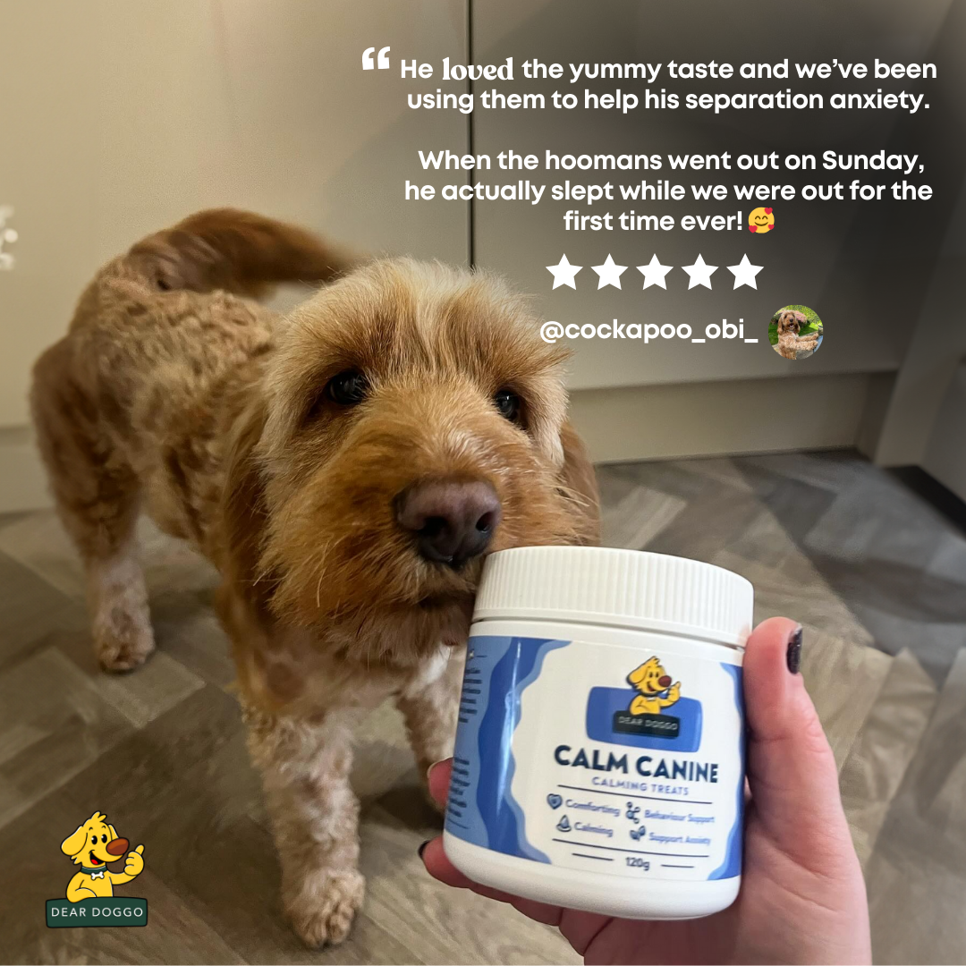 Dear Doggo Facebook ad