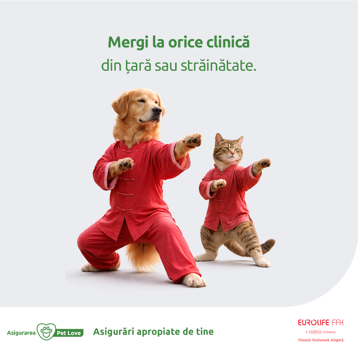 Eurolife FFH Asigurări România Facebook ad: Asigurarea medicală pentru animale se face acum 100%…