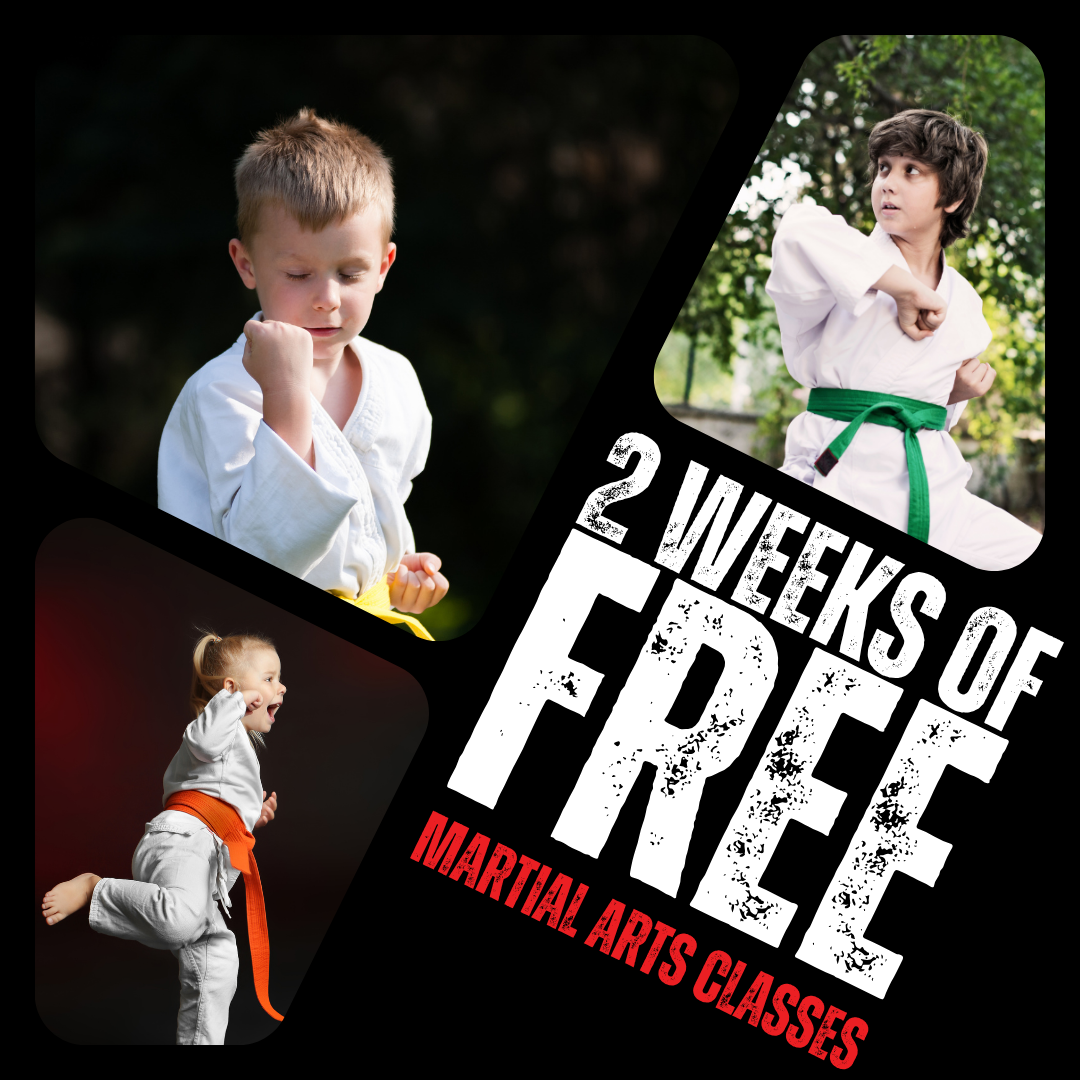 Master Jim's Taekwondo Academy Facebook ad: TWO WEEKS OF FREE MARTIAL ARTS CLASSES