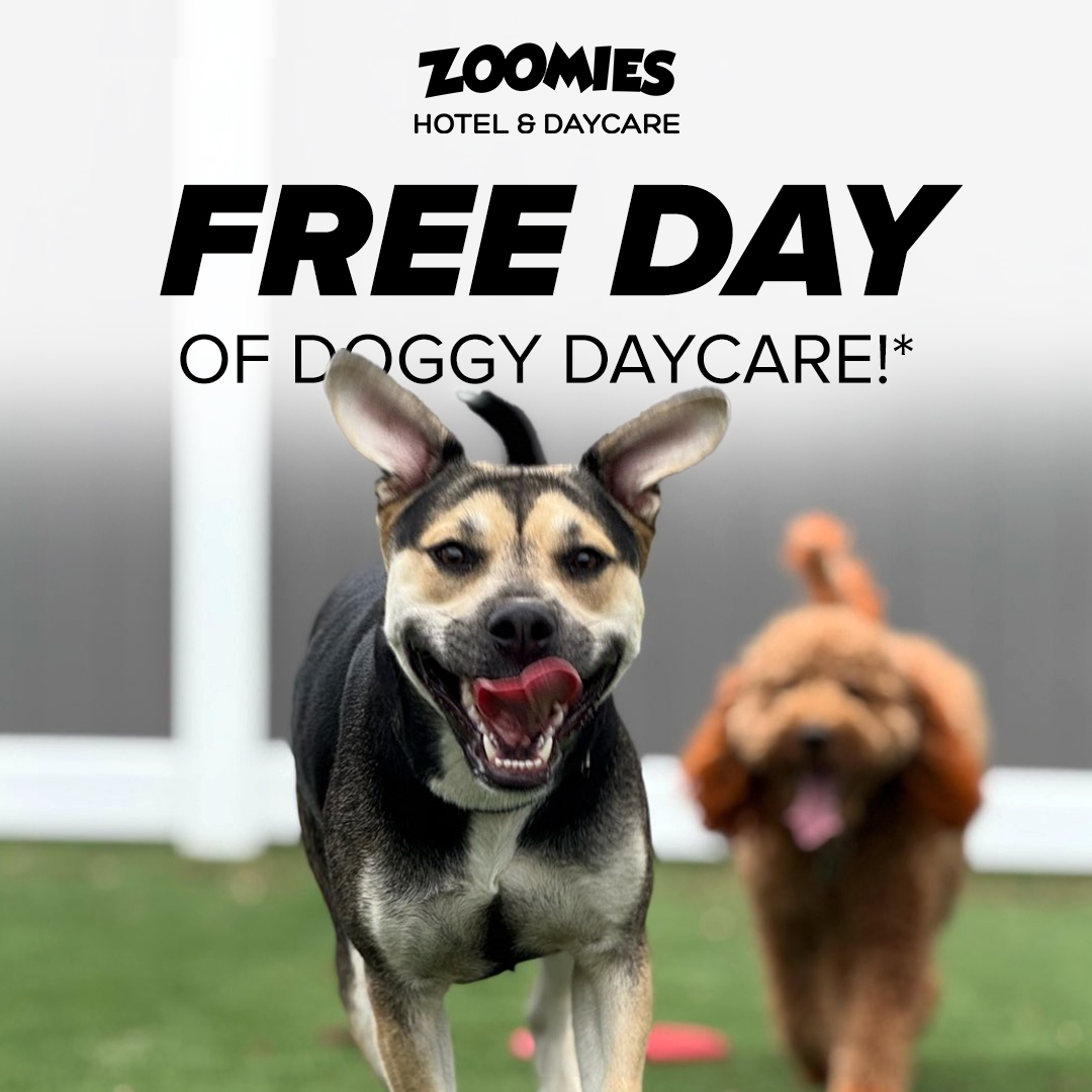 ZOOMIES Pet Hotel Pensacola Facebook ad: ZOOMIES Pet Hotel