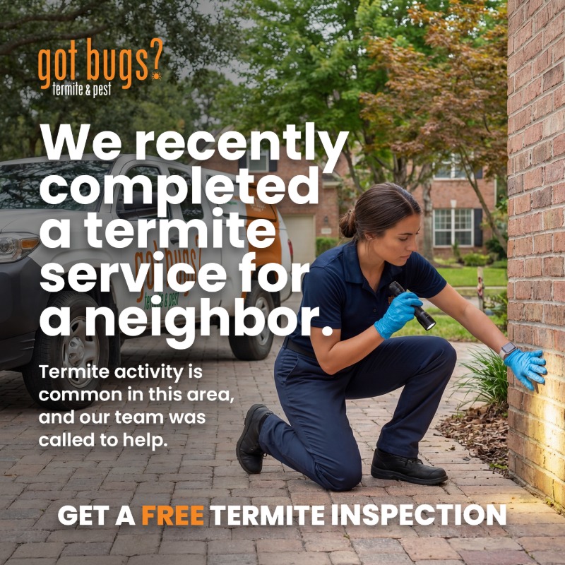 Got Bugs? Termite and Pest Solutions, Inc. Facebook ad: Get Peace of Mind. Book a FREE inspection today!