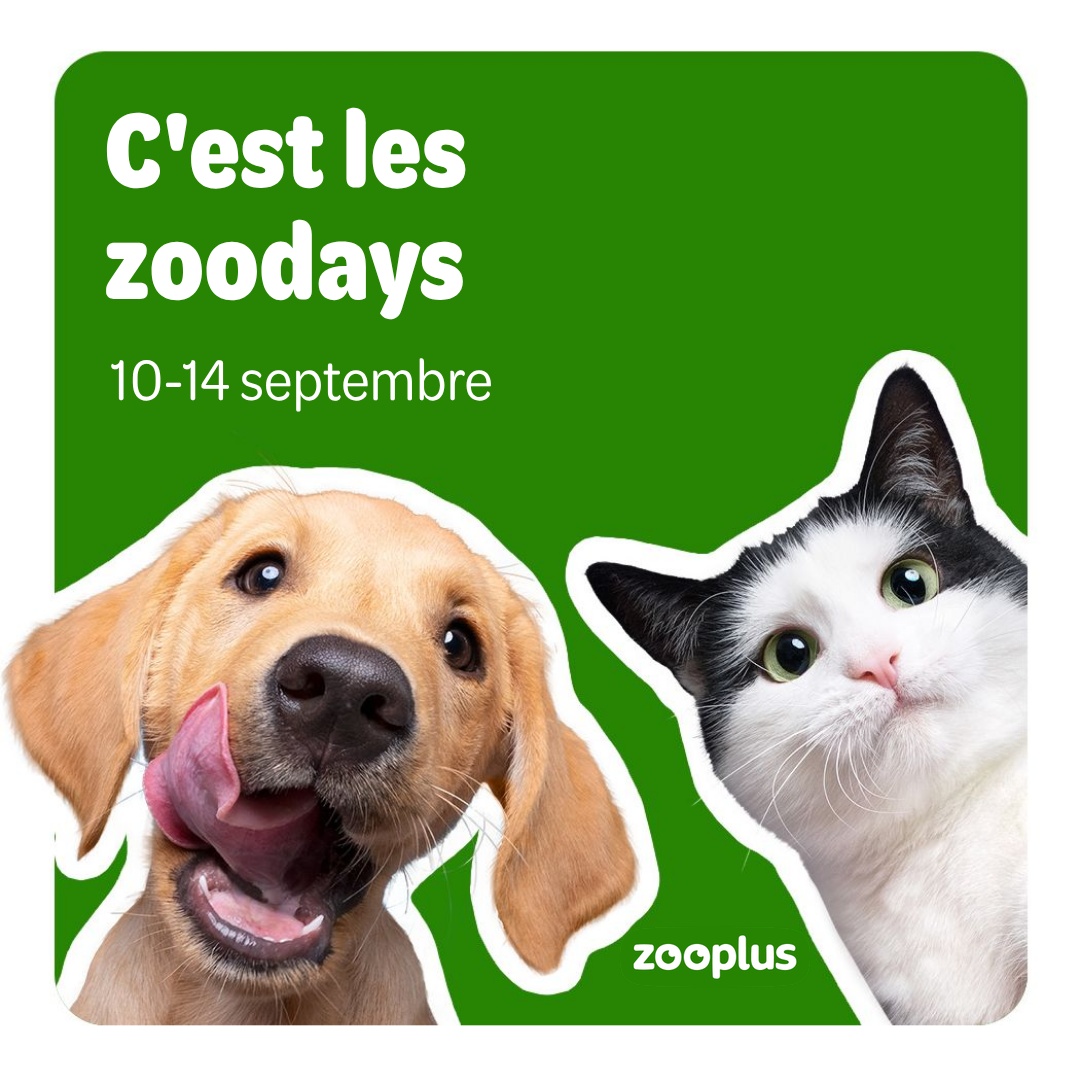 zooplus Facebook ad